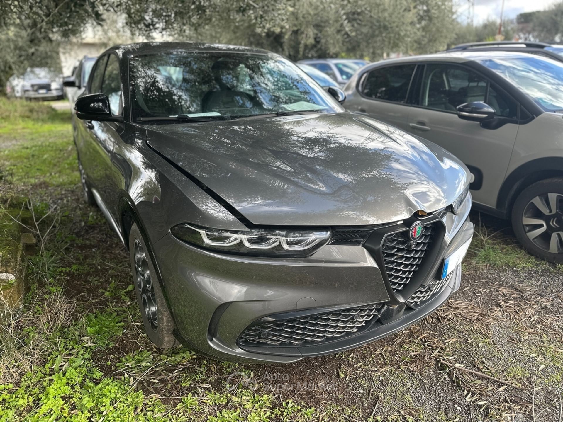 Alfa Romeo Tonale
