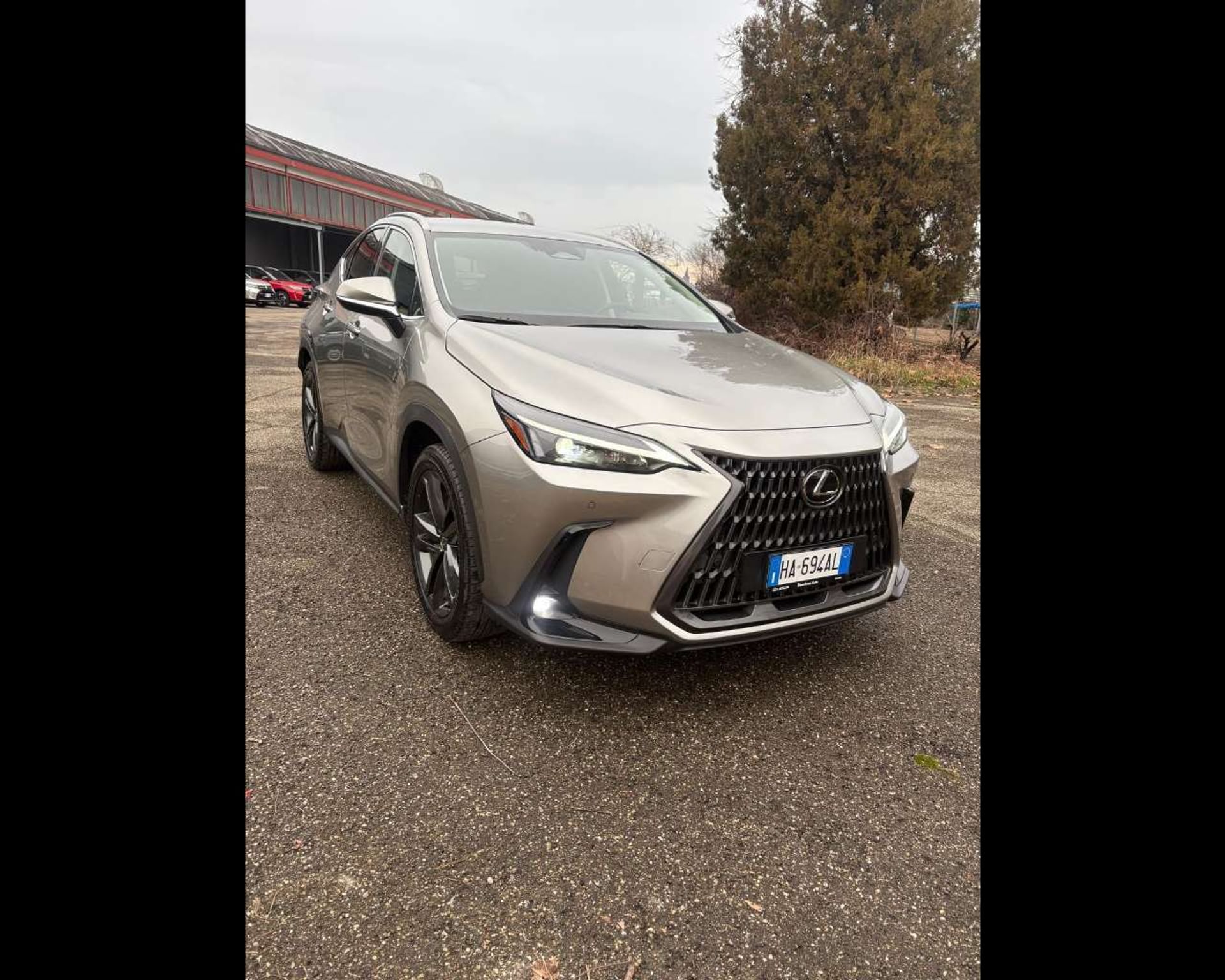 Lexus NX