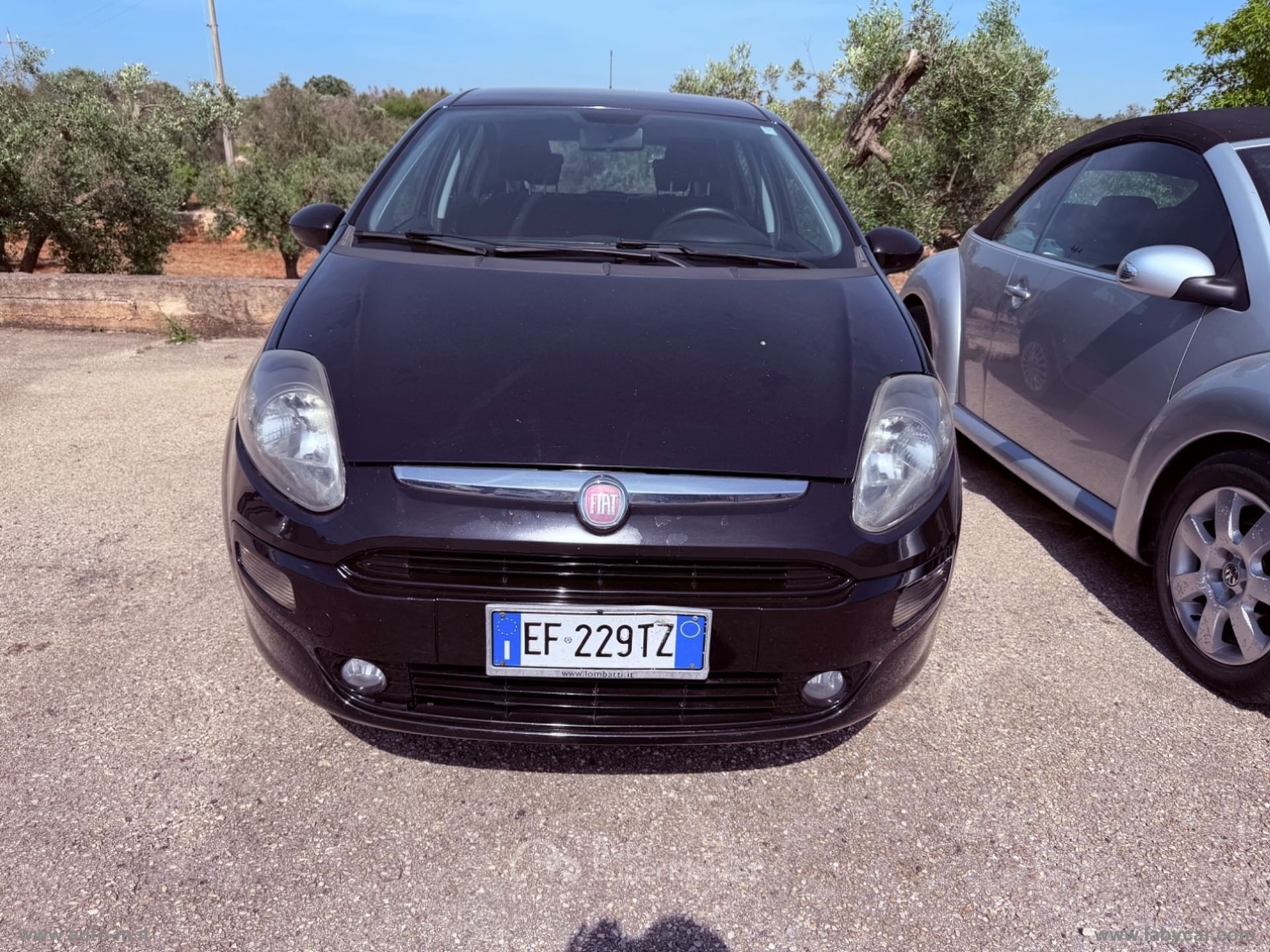 Fiat Punto Evo