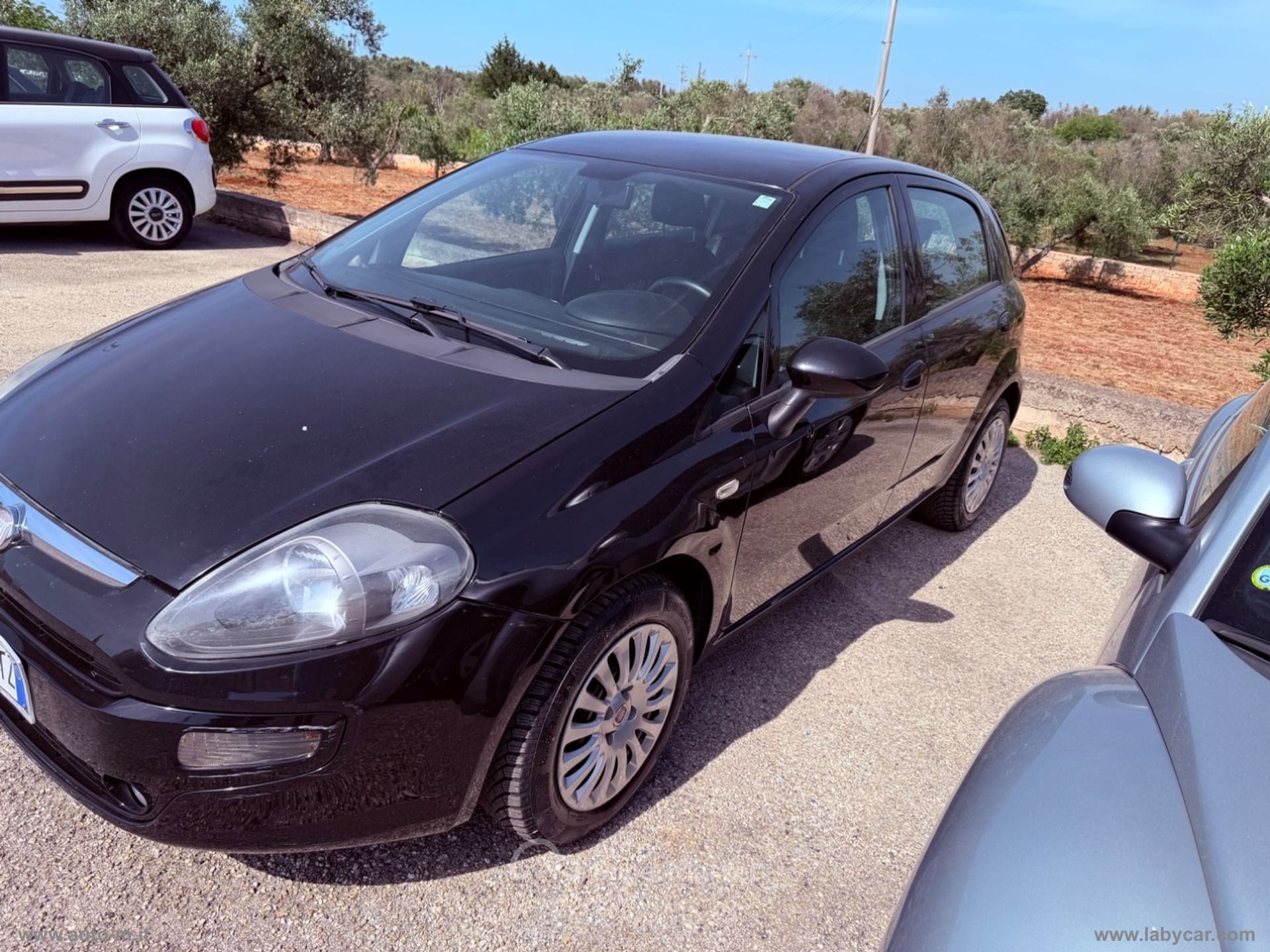Fiat Punto Evo