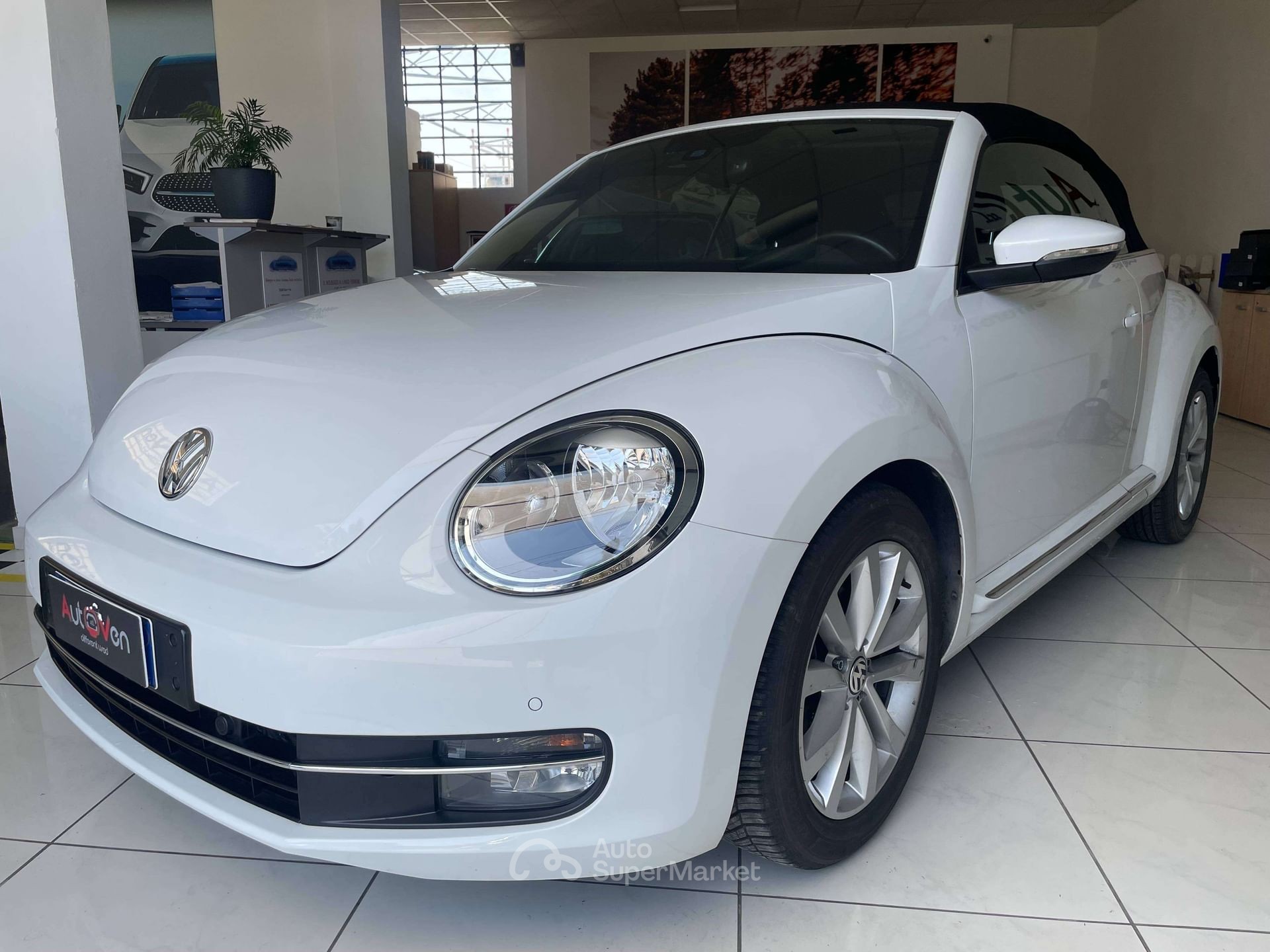 Volkswagen Maggiolino