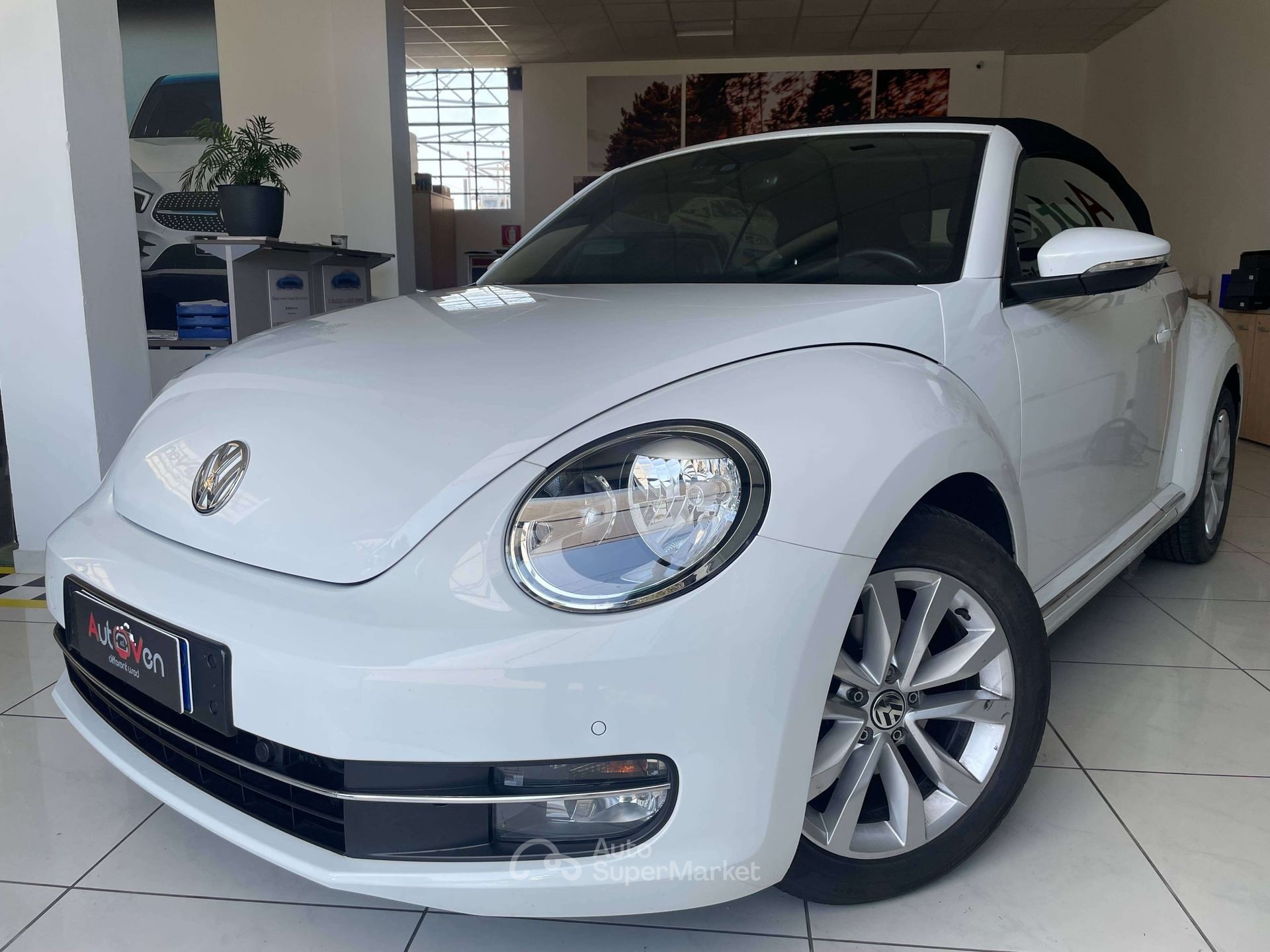 Volkswagen Maggiolino