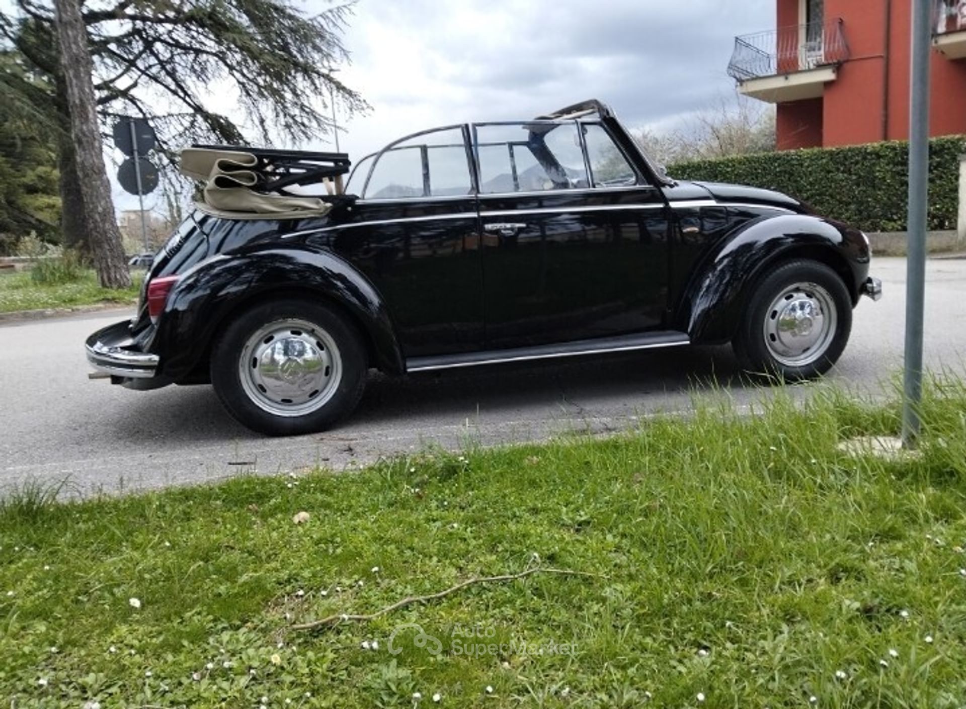 Volkswagen Maggiolino