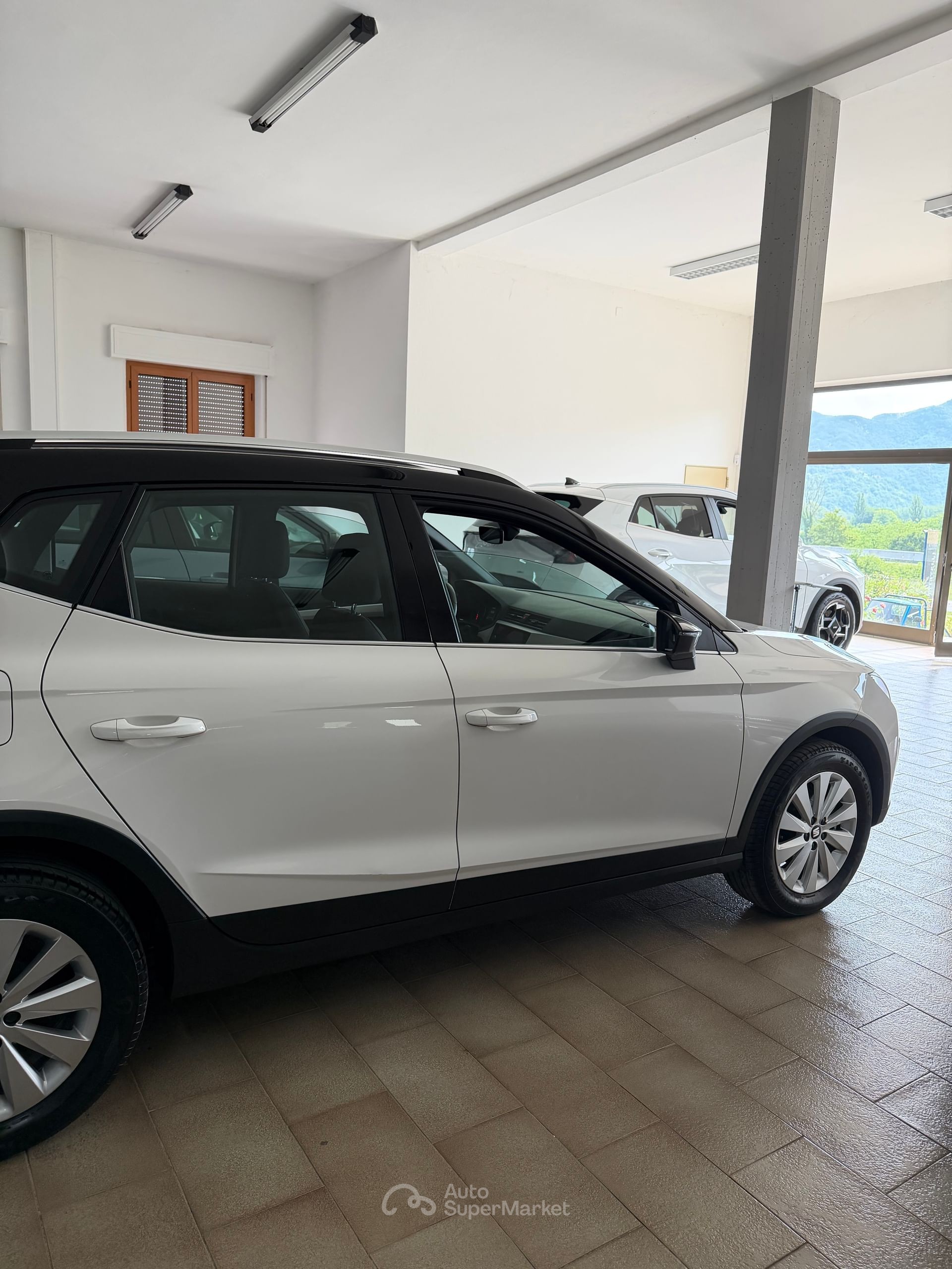Seat Arona