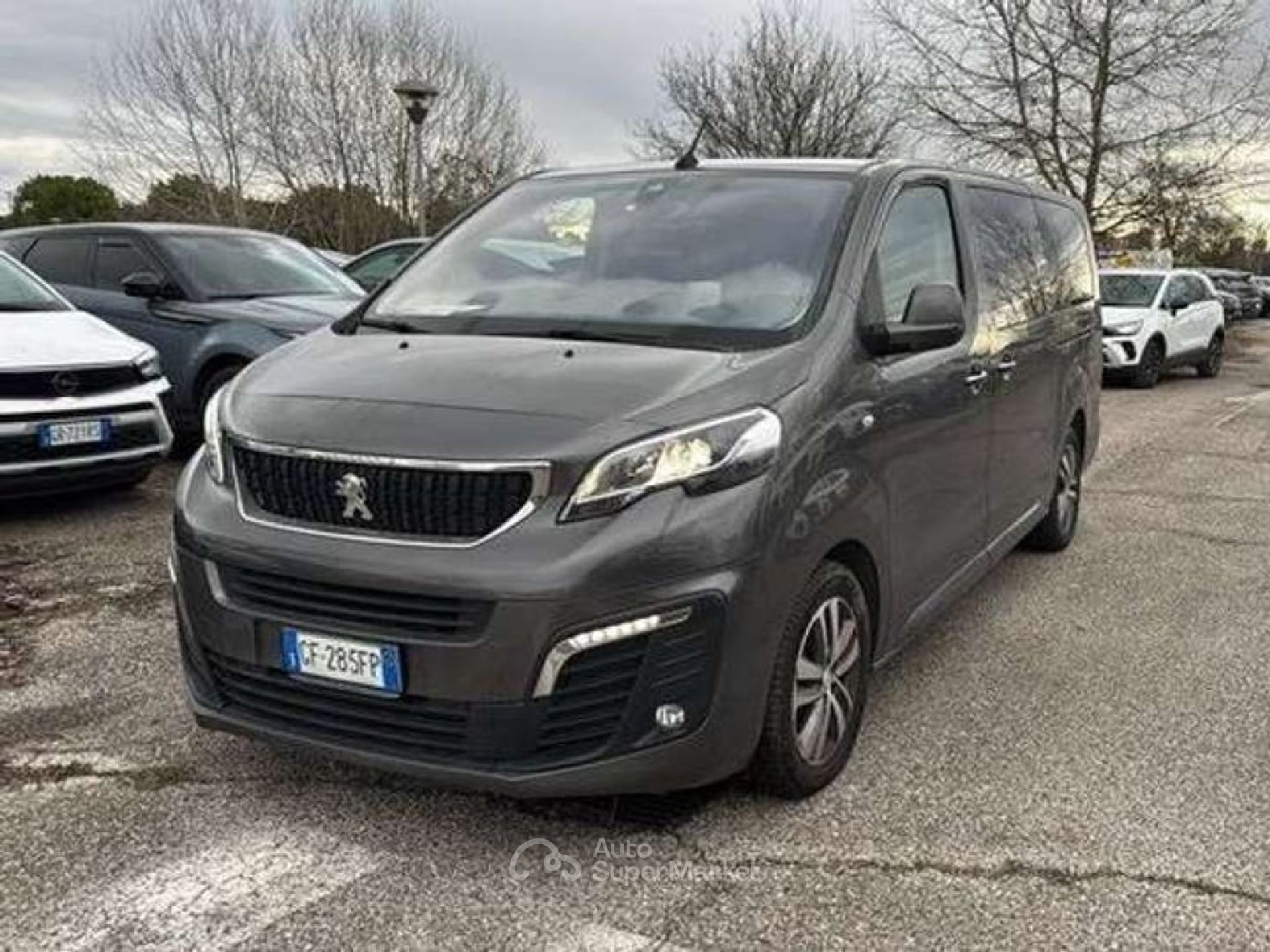 Peugeot Traveller