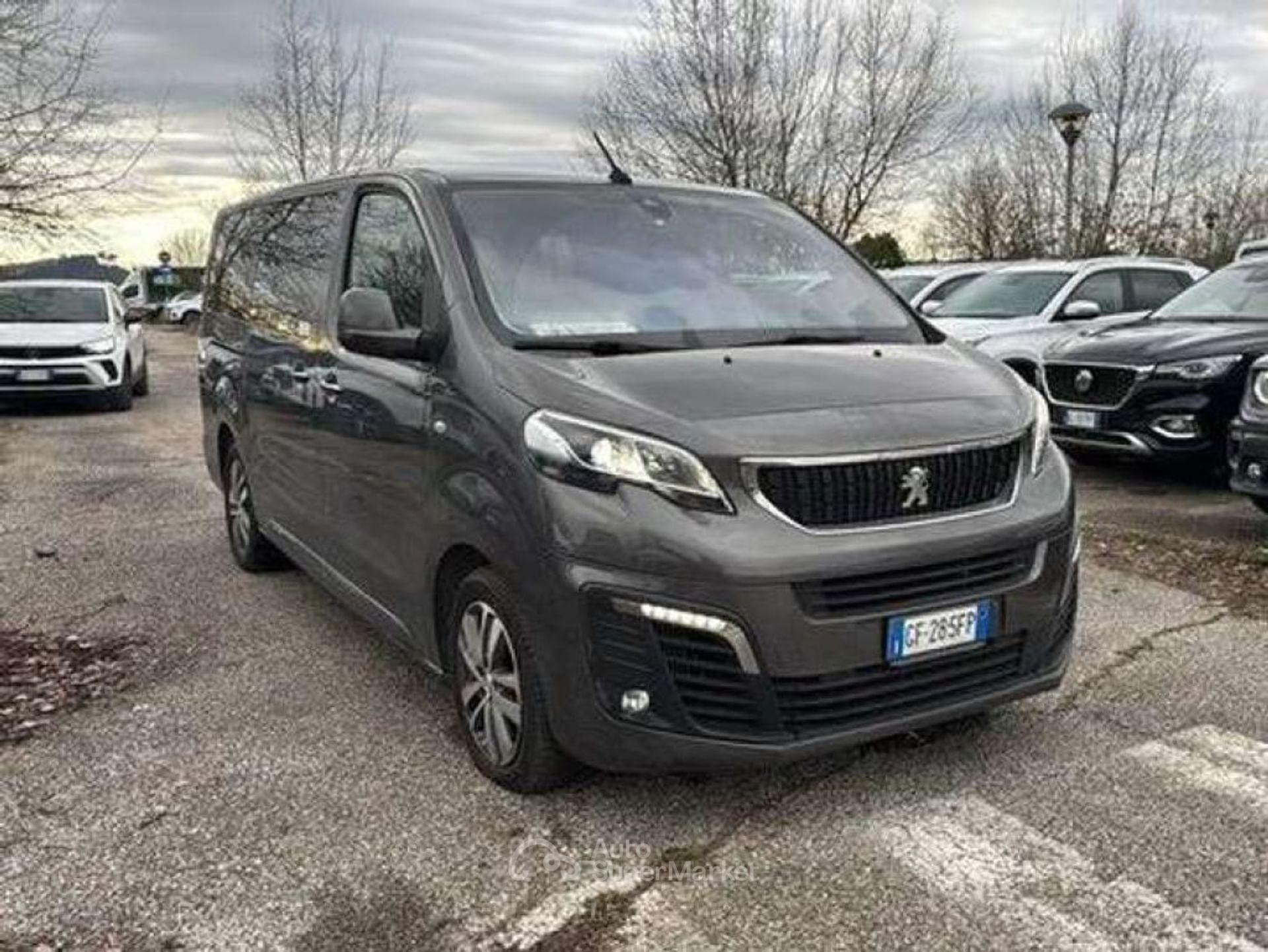 Peugeot Traveller