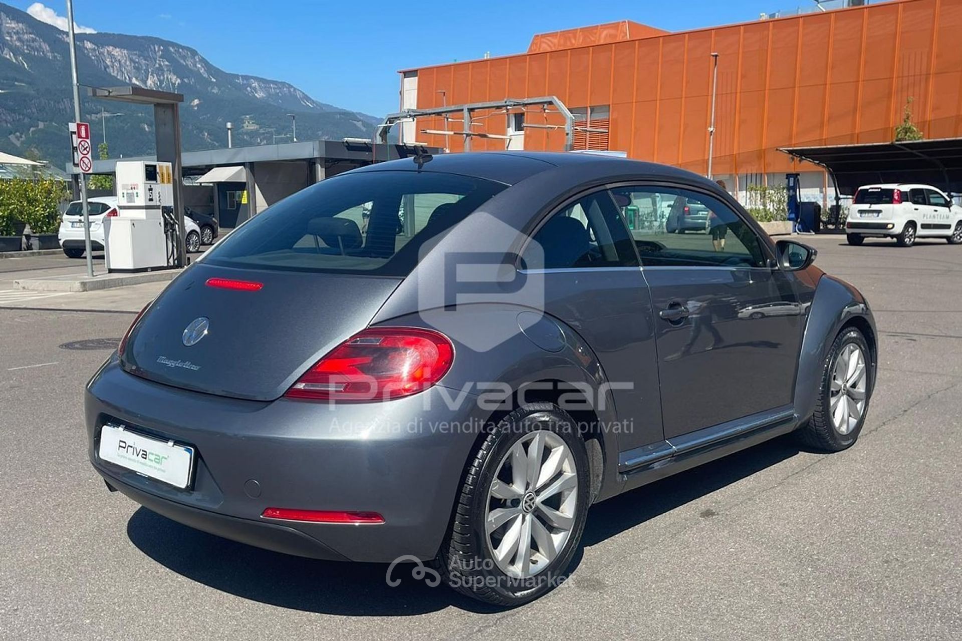Volkswagen Maggiolino