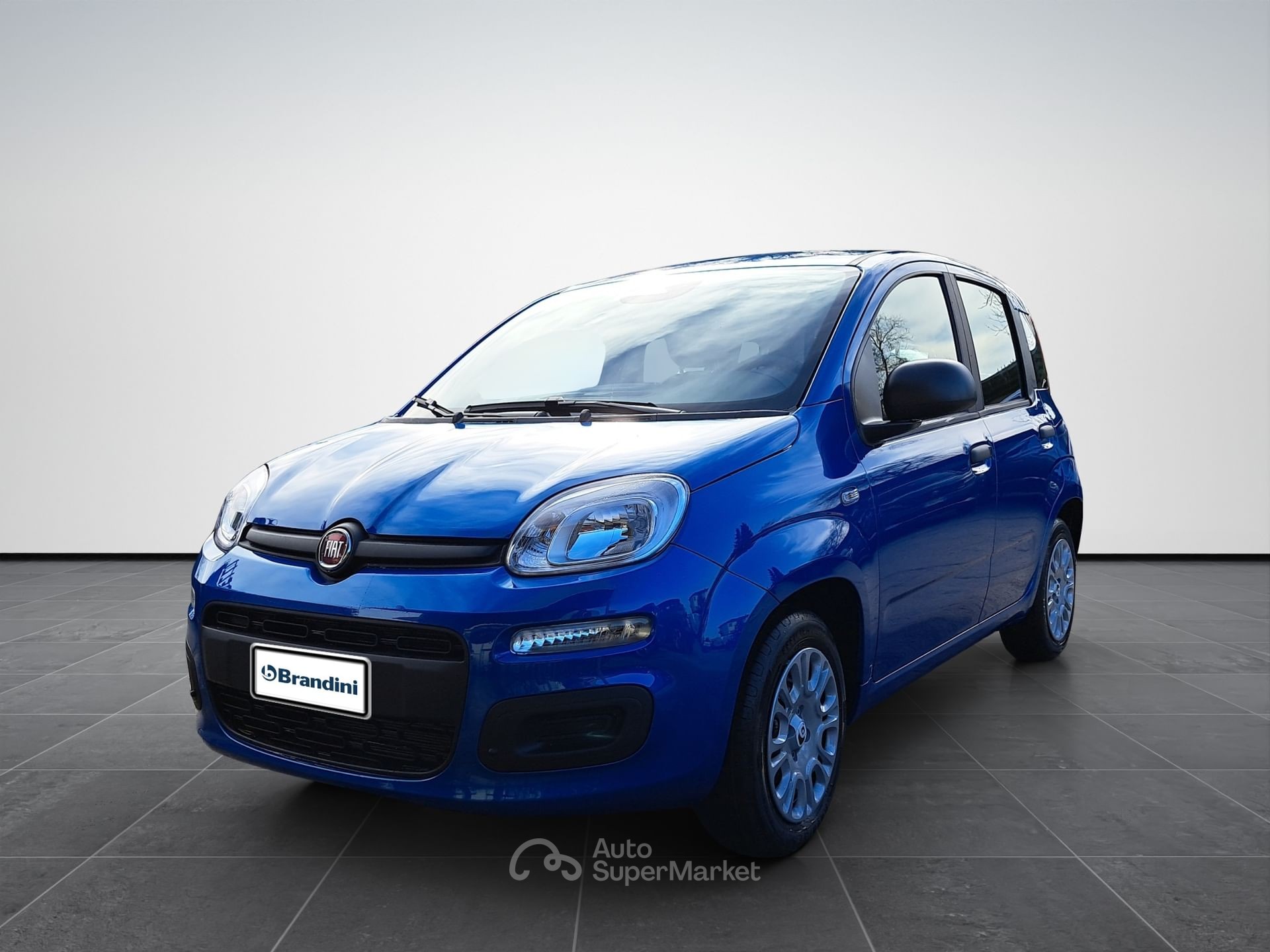 Fiat Pandina