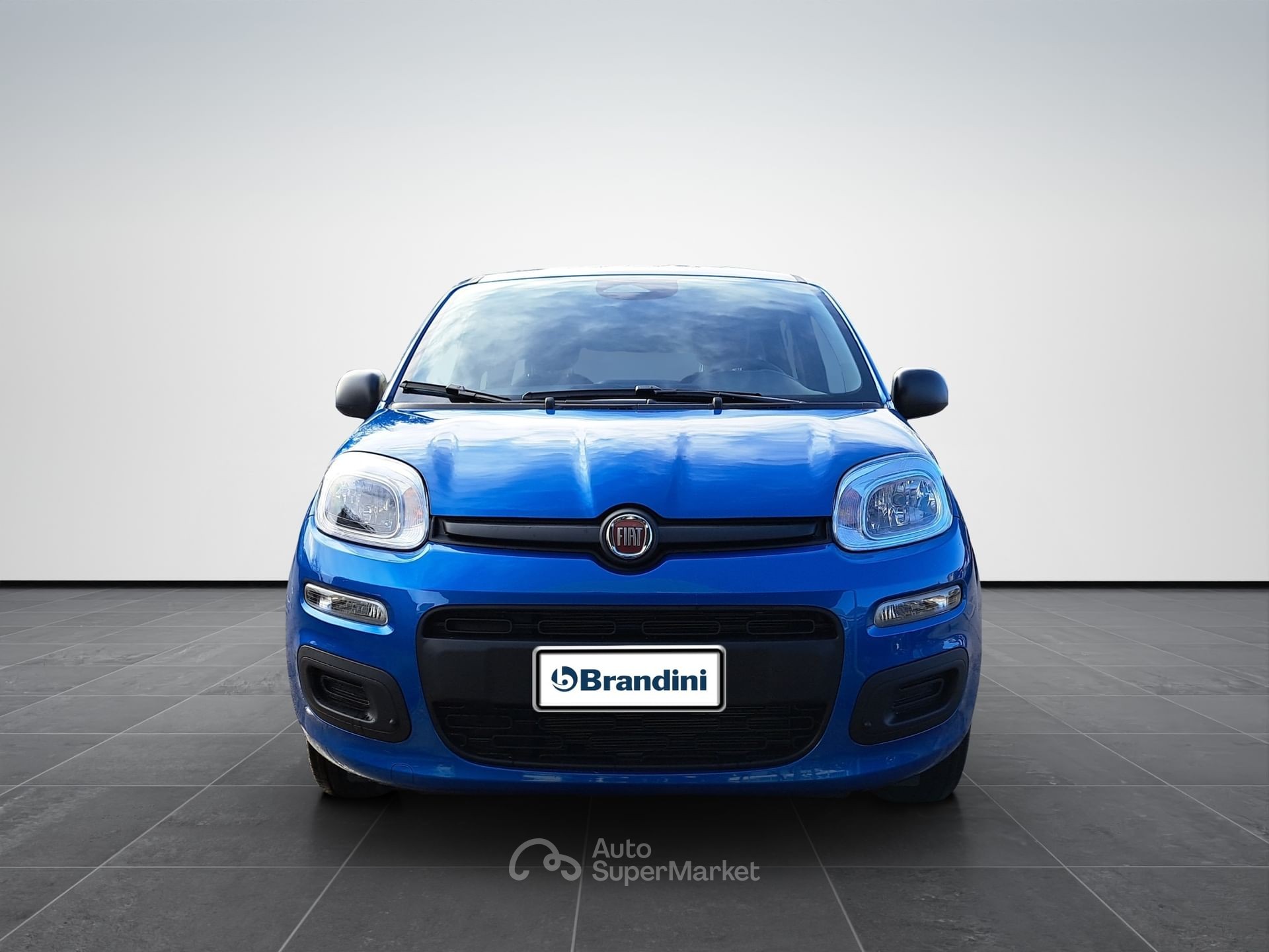 Fiat Pandina