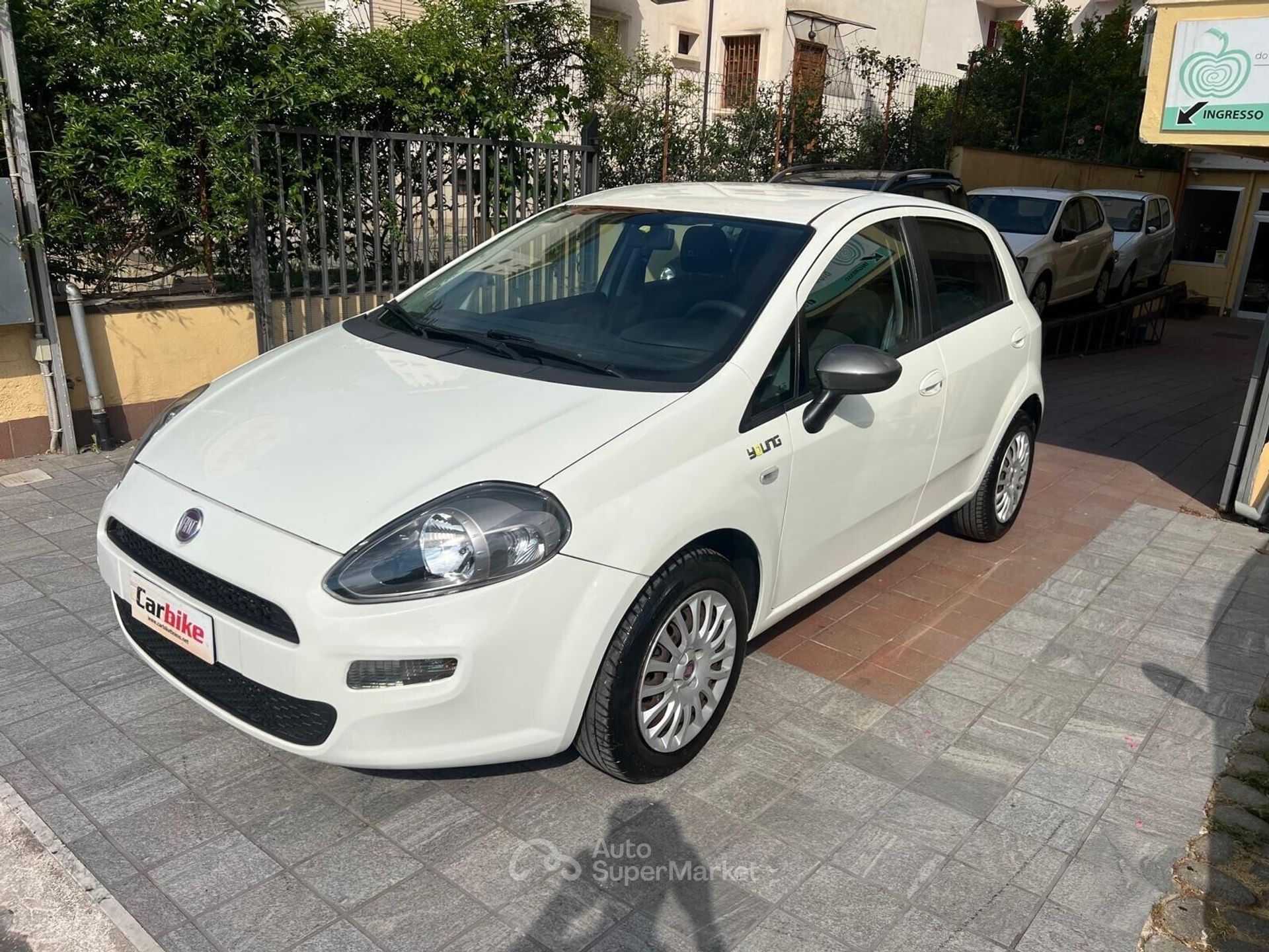 Fiat Punto