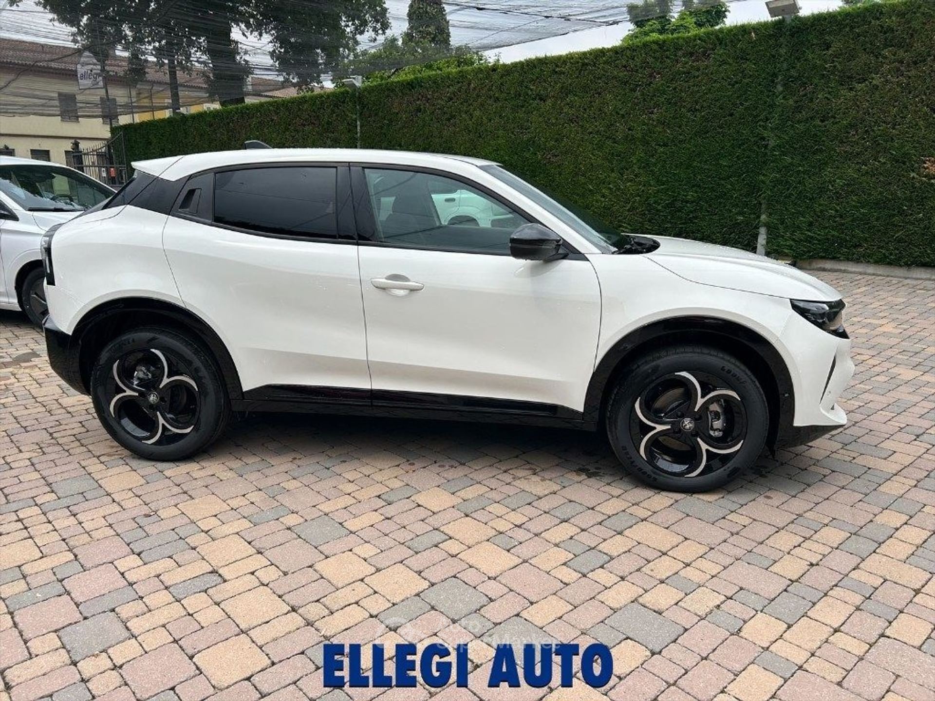 Alfa Romeo Junior