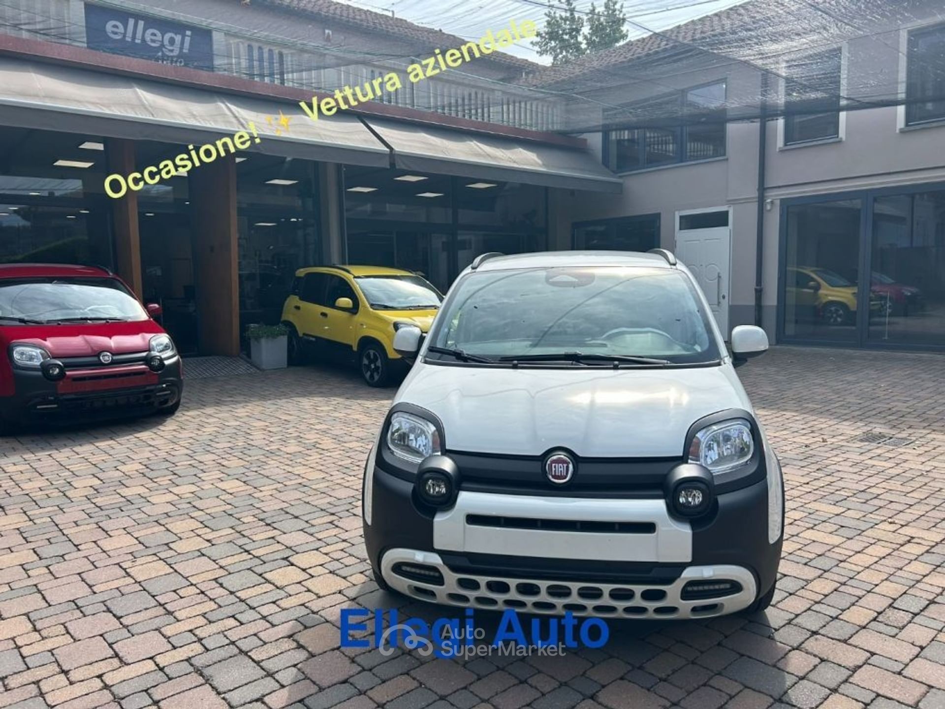 Fiat Pandina