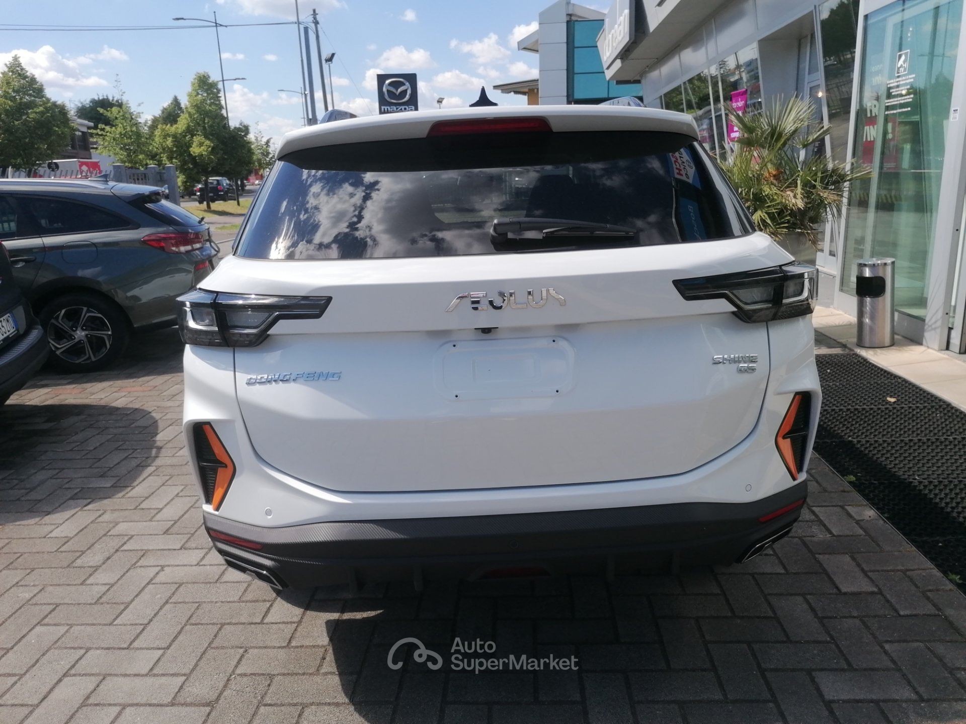 Dongfeng Shine
