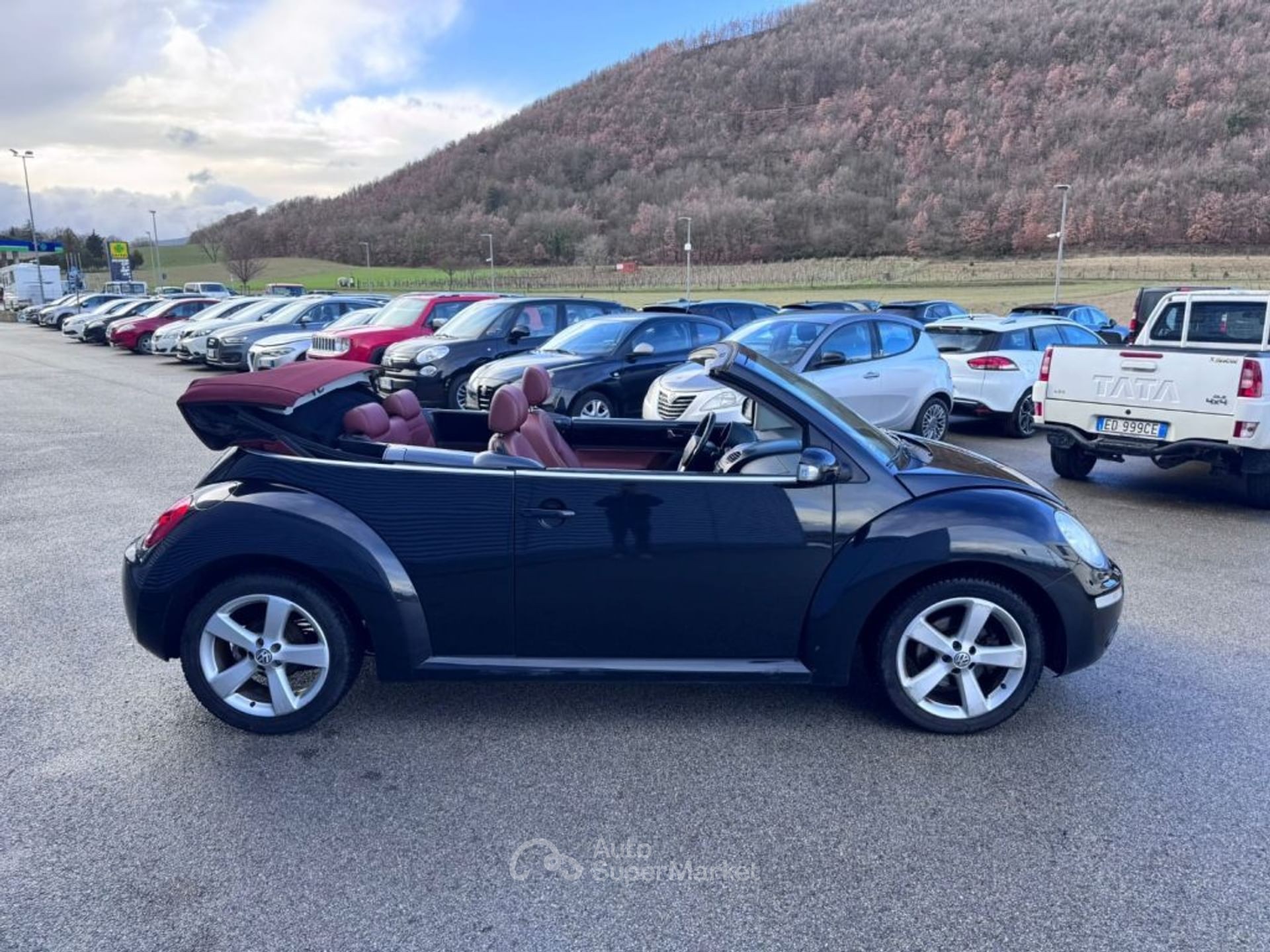 Volkswagen New Beetle