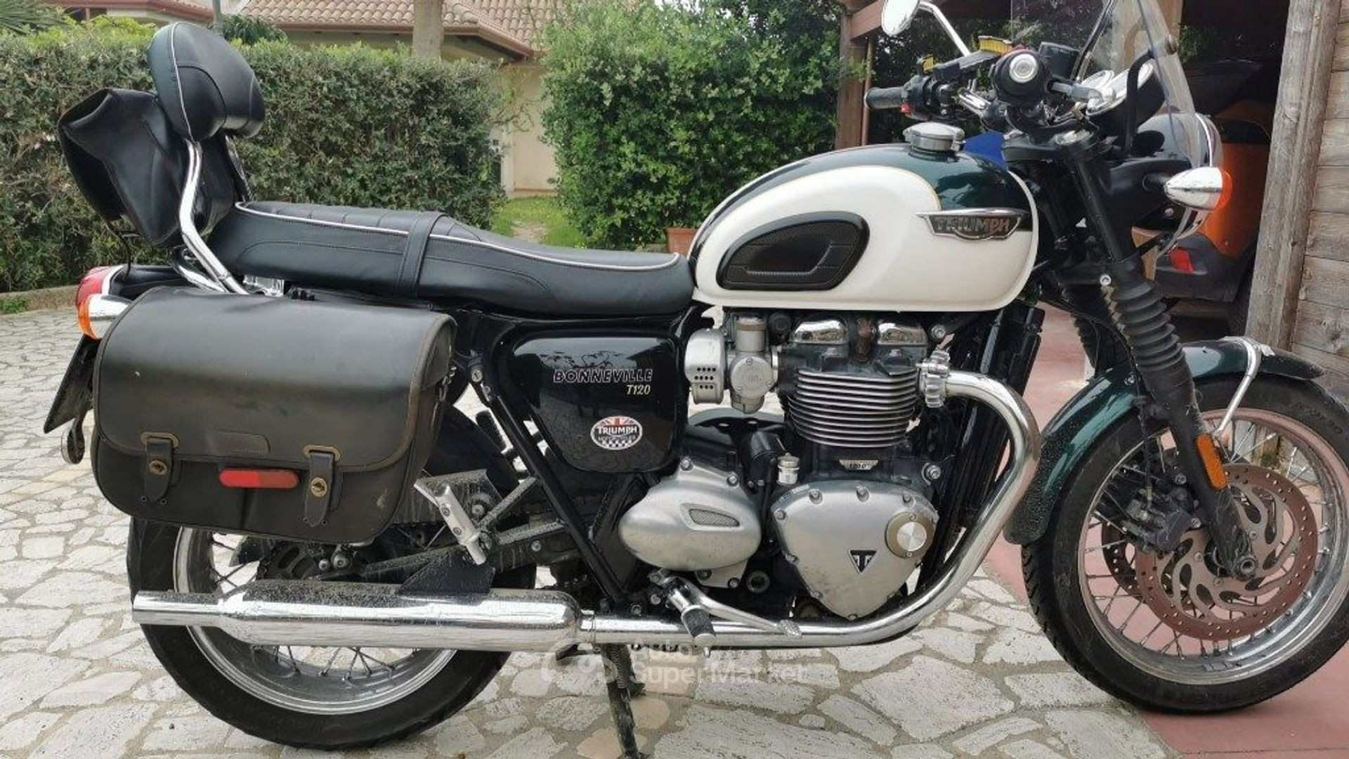 Triumph Dolomite