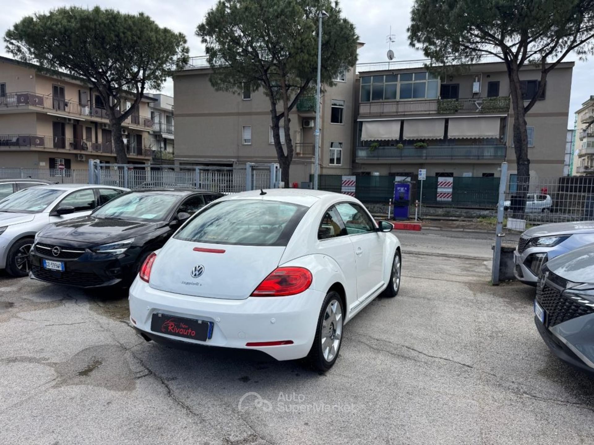 Volkswagen Maggiolino