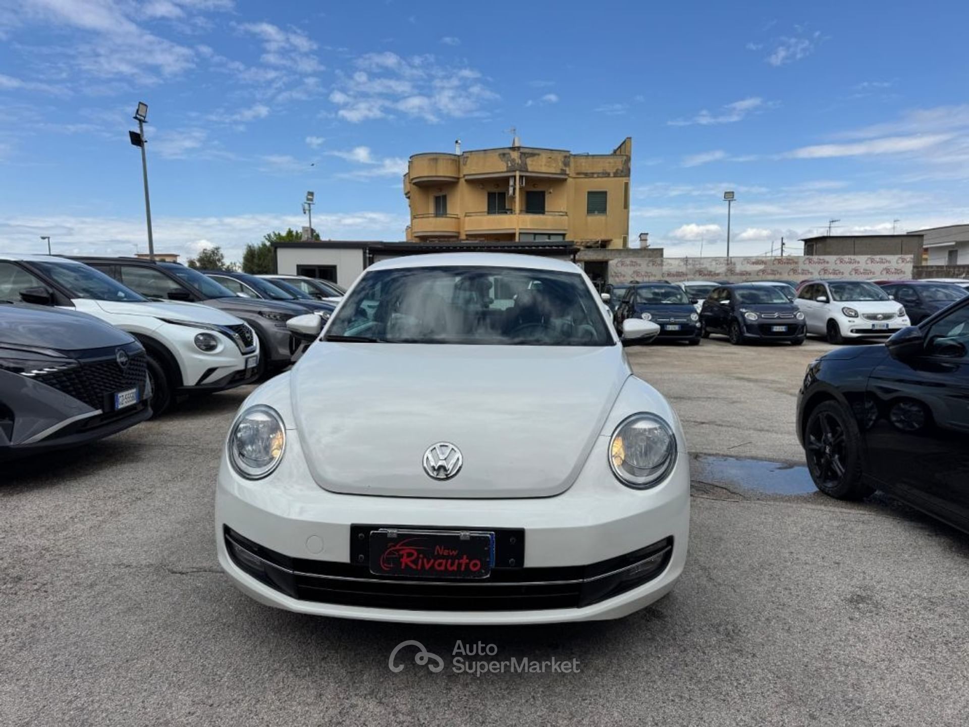 Volkswagen Maggiolino