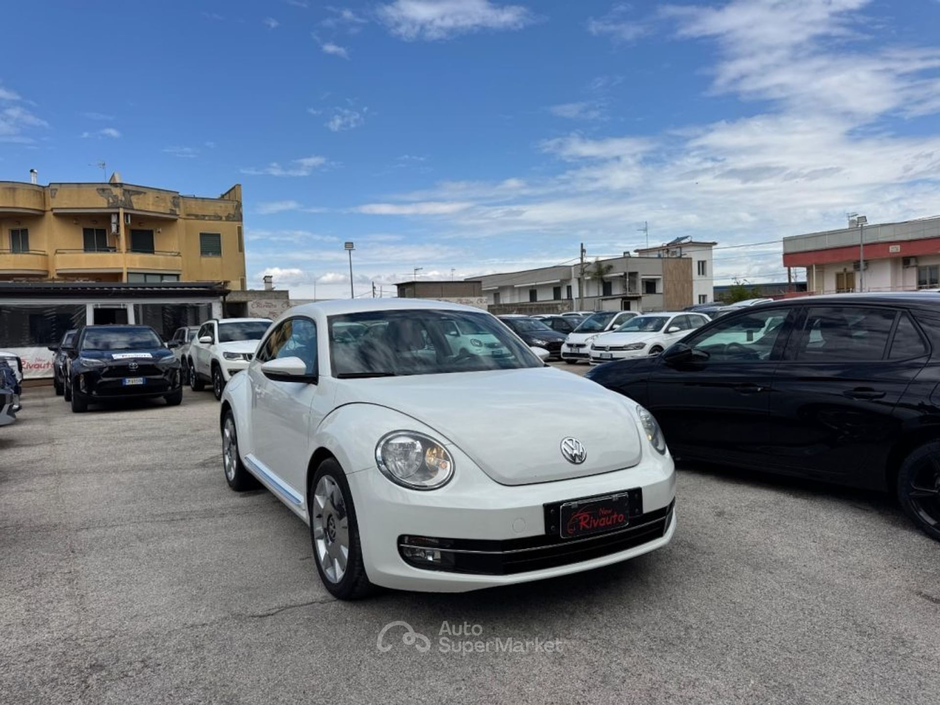 Volkswagen Maggiolino