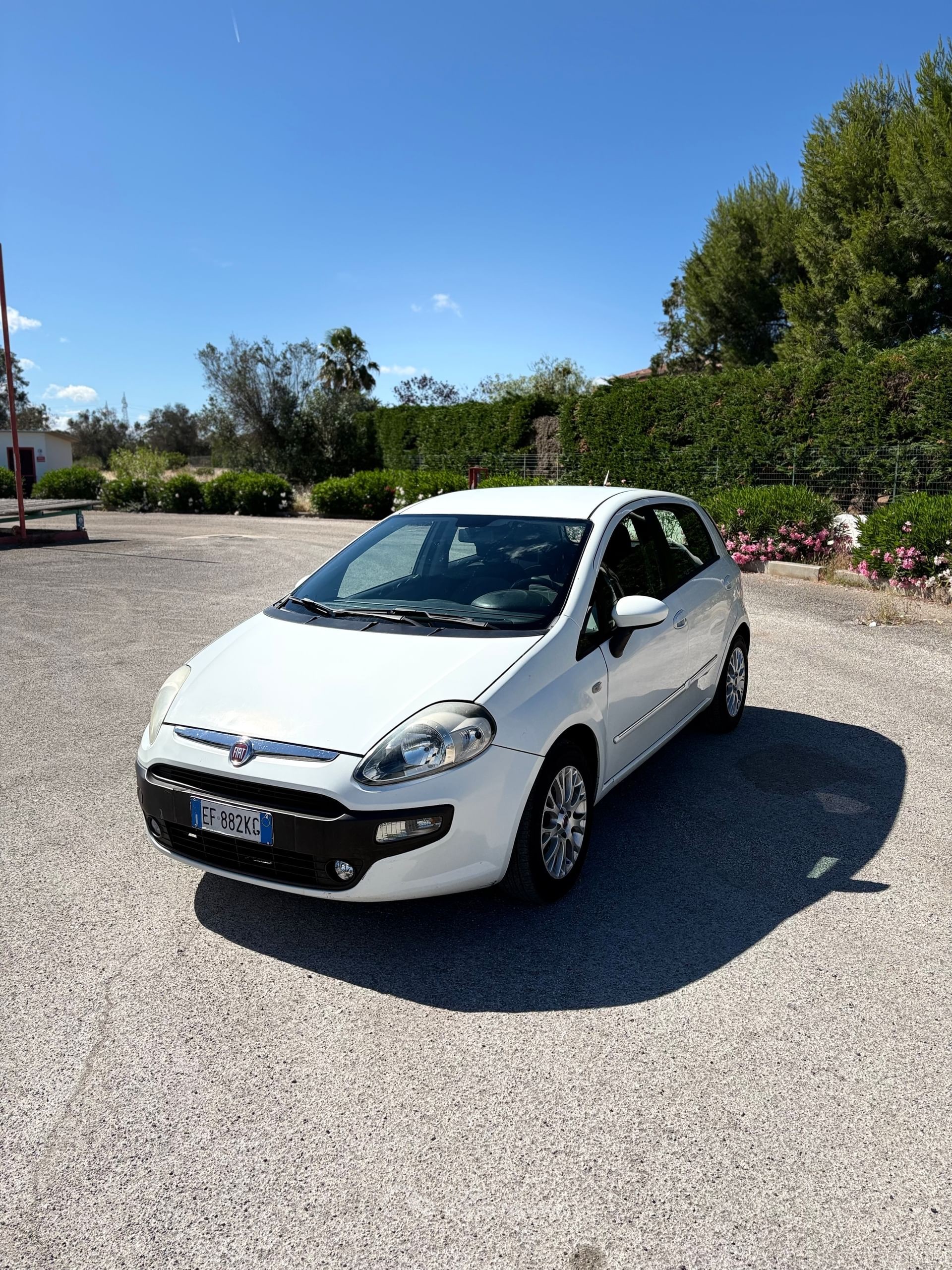 Fiat Punto Evo