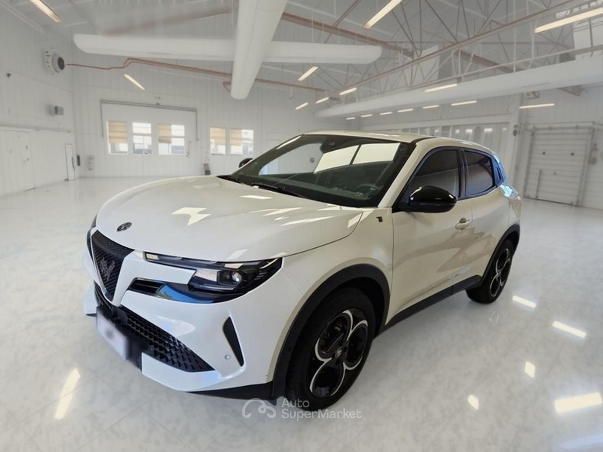Alfa Romeo Junior