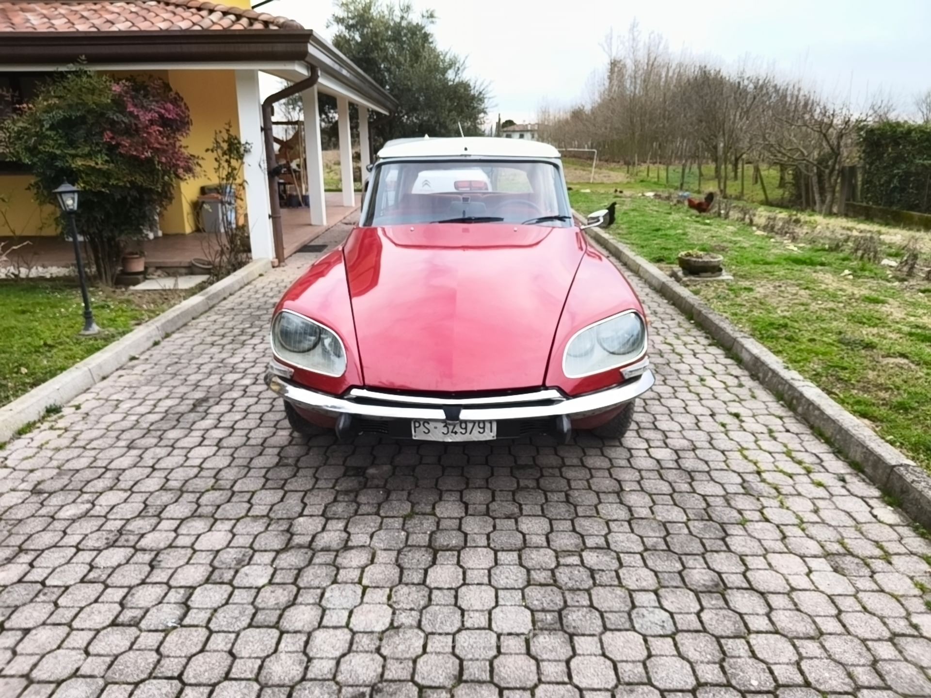 Citroen DS