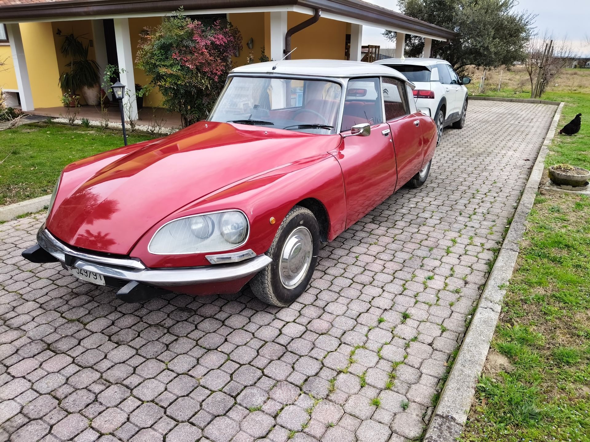 Citroen DS