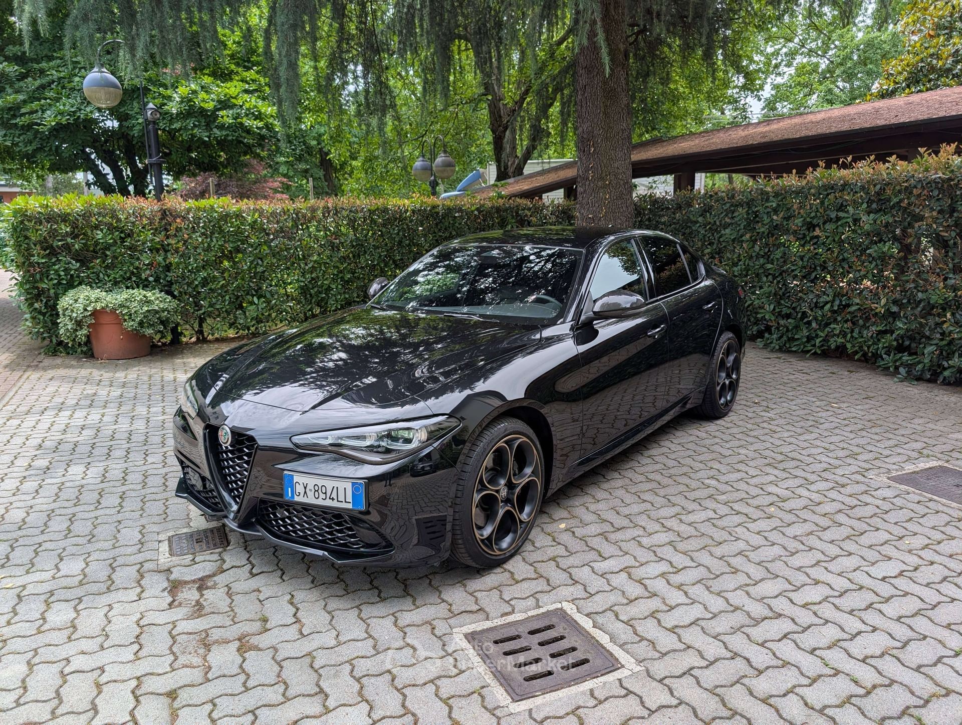 Alfa Romeo Giulia