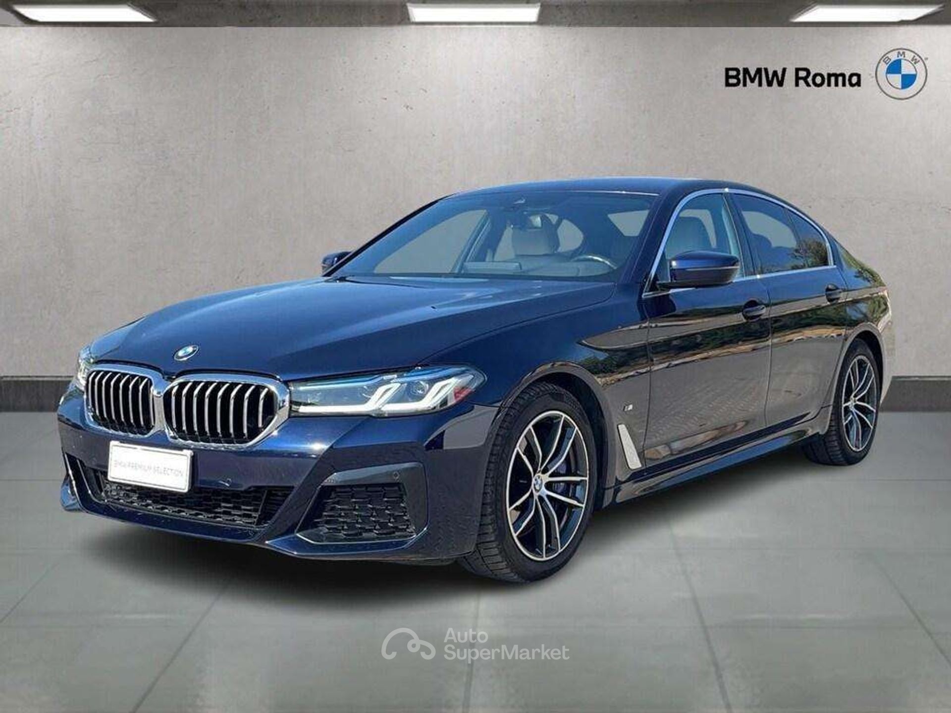 BMW Serie 5 530d