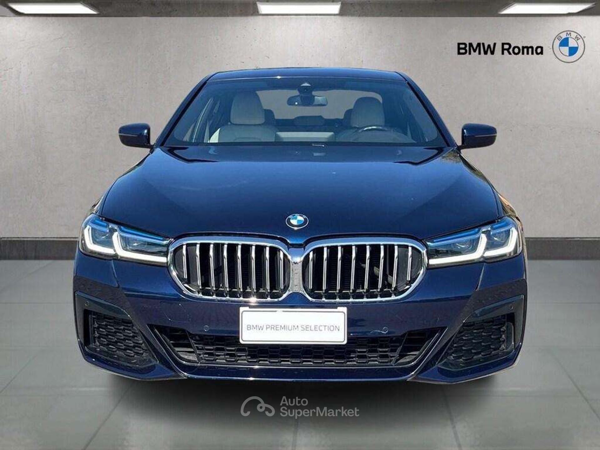 BMW Serie 5 530d