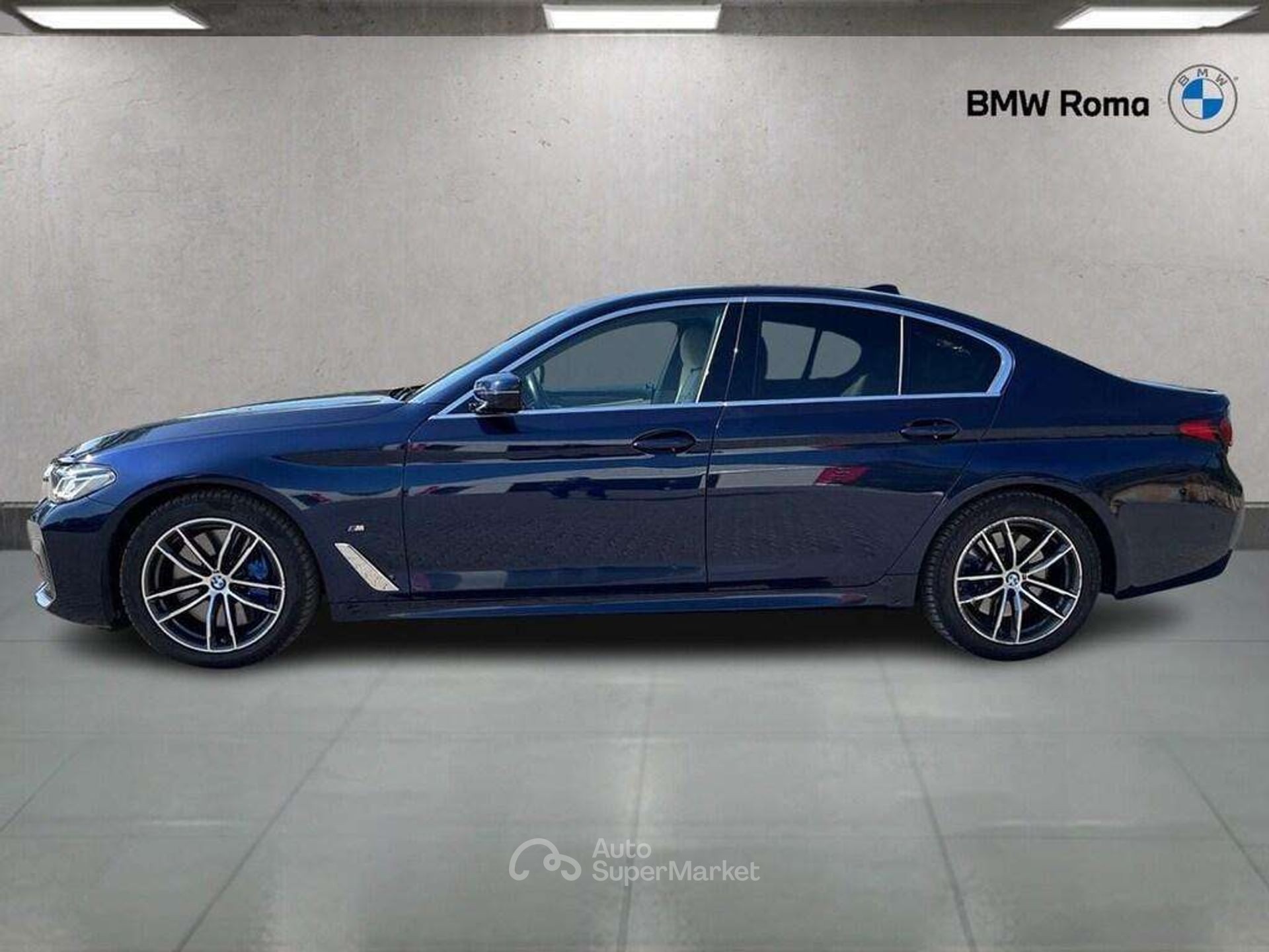 BMW Serie 5 530d