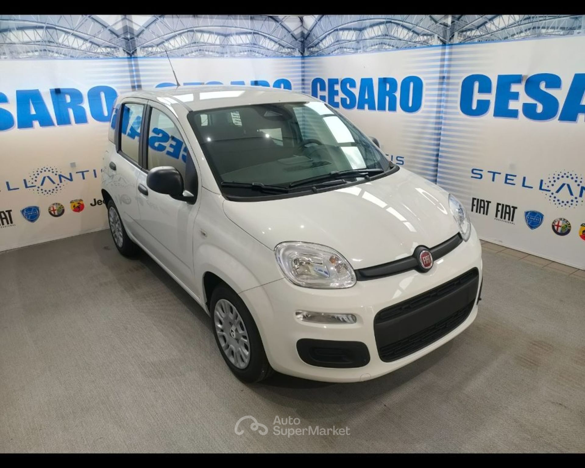 Fiat Pandina