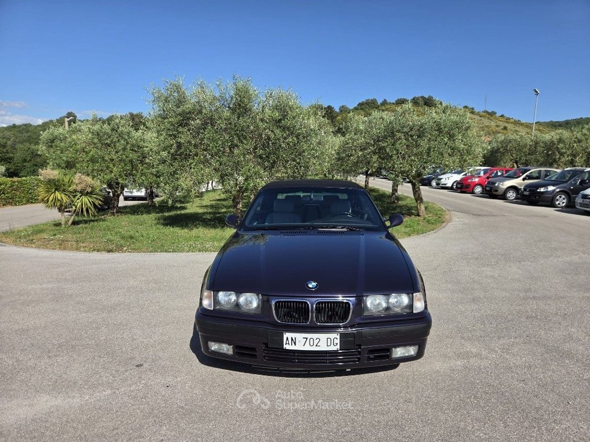 BMW Serie 3 318i