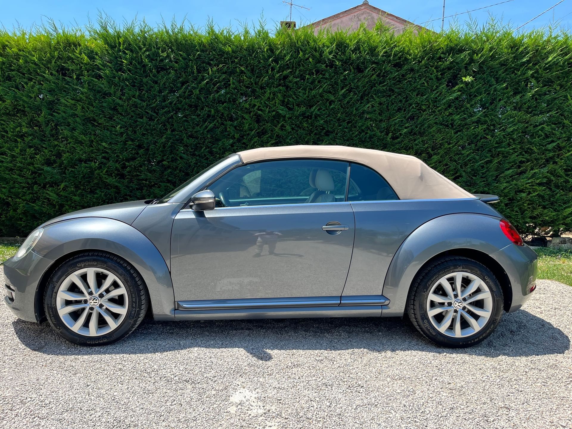 Volkswagen Maggiolino