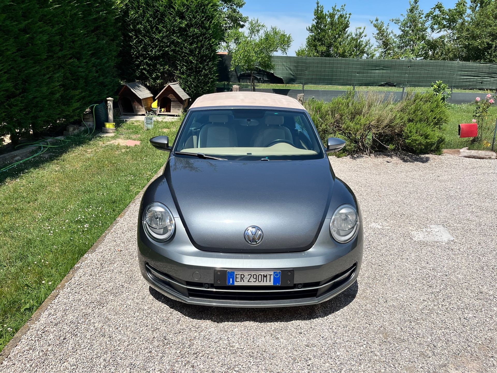 Volkswagen Maggiolino