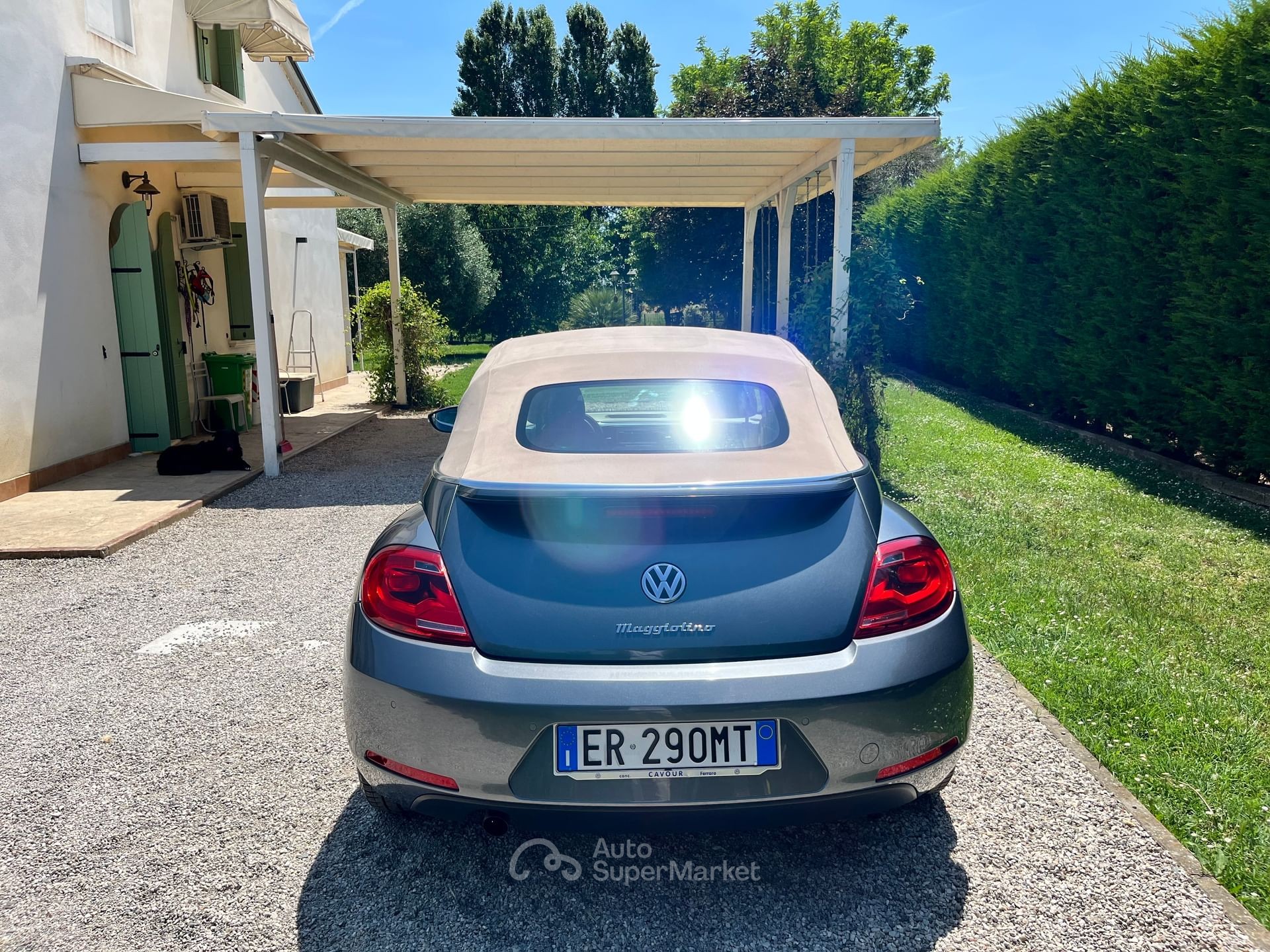Volkswagen Maggiolino