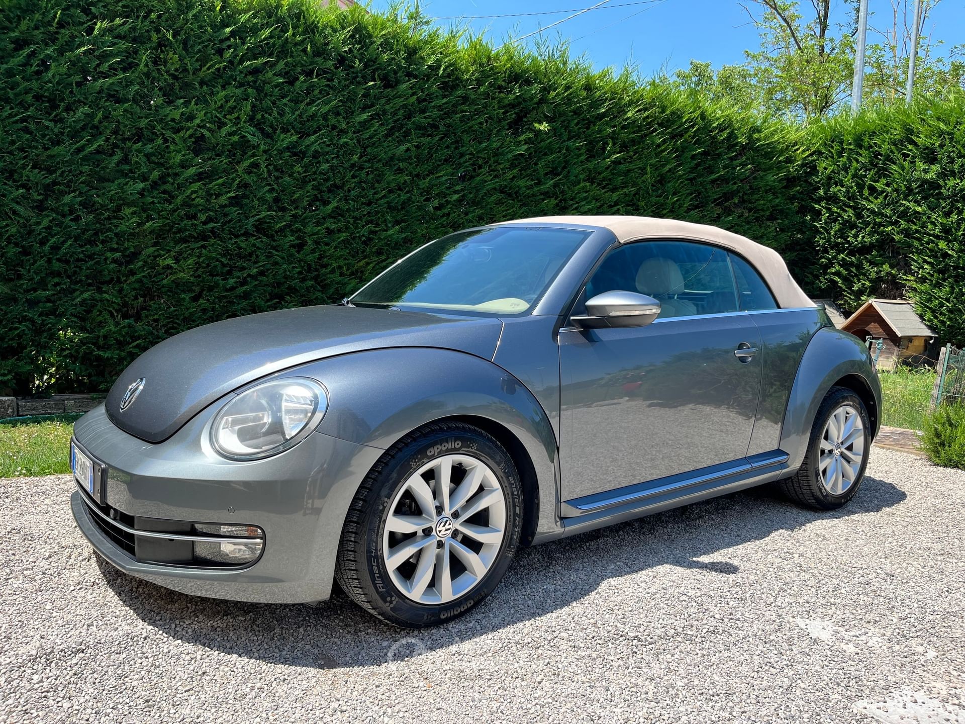 Volkswagen Maggiolino