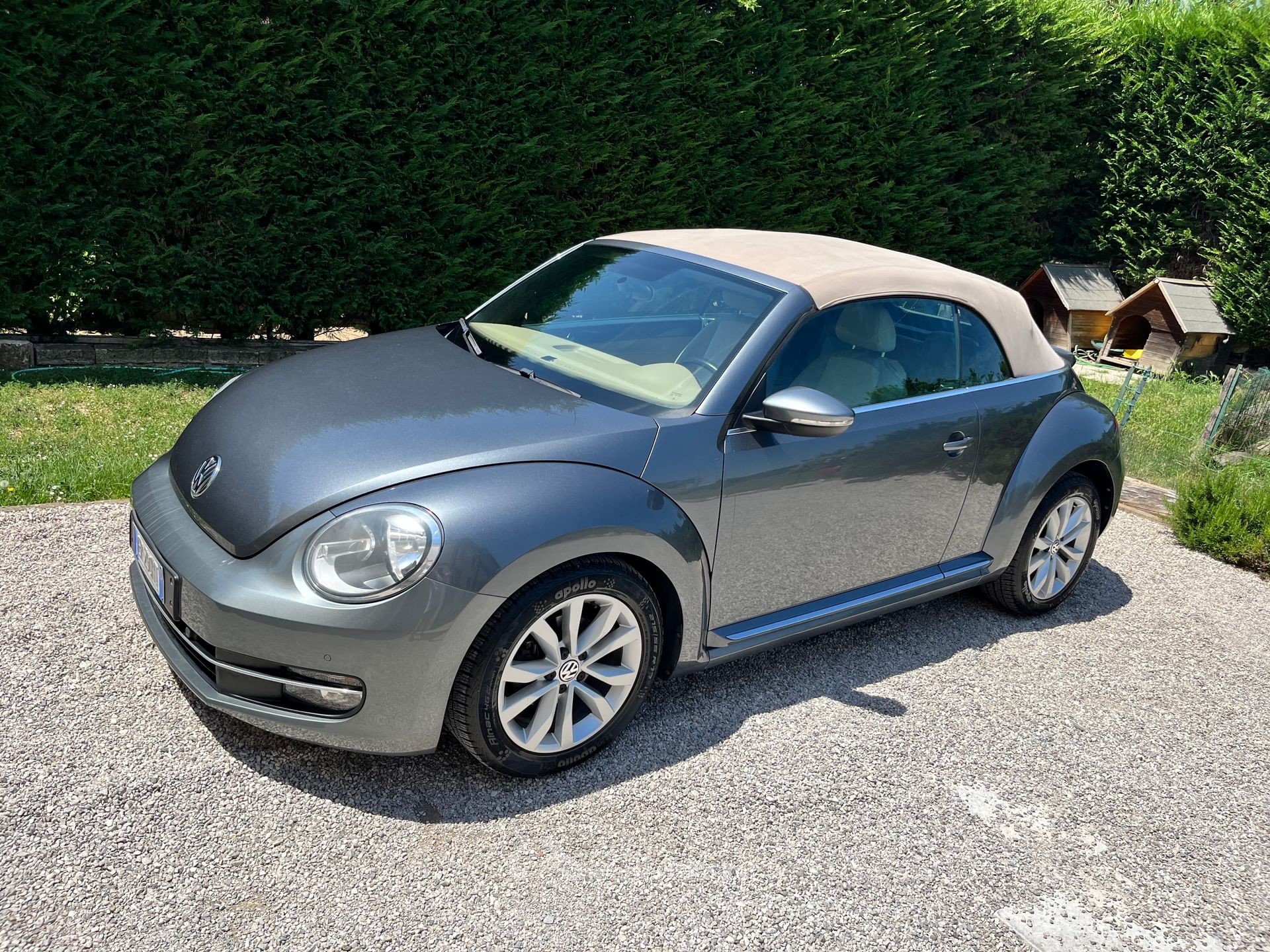 Volkswagen Maggiolino