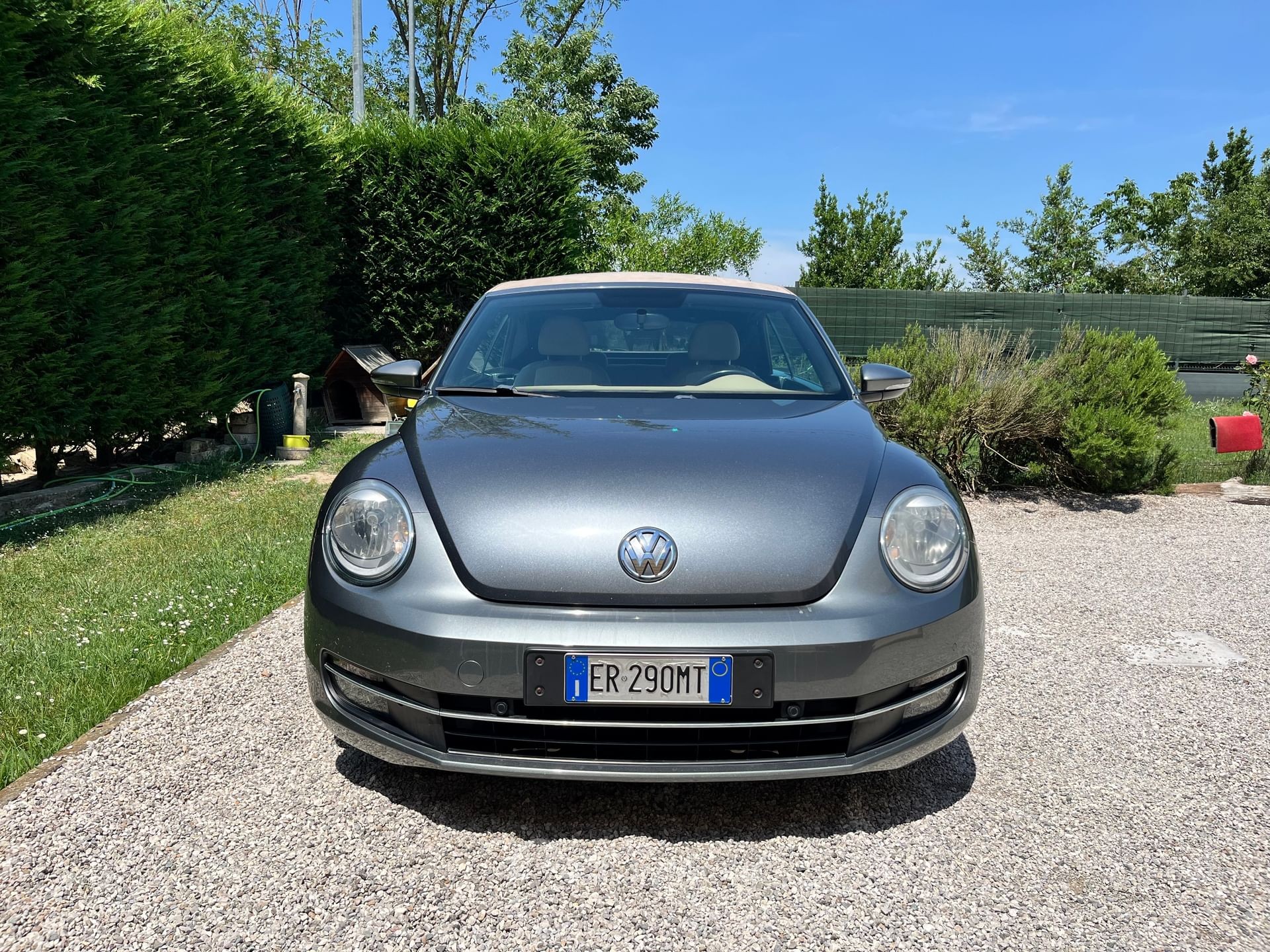 Volkswagen Maggiolino