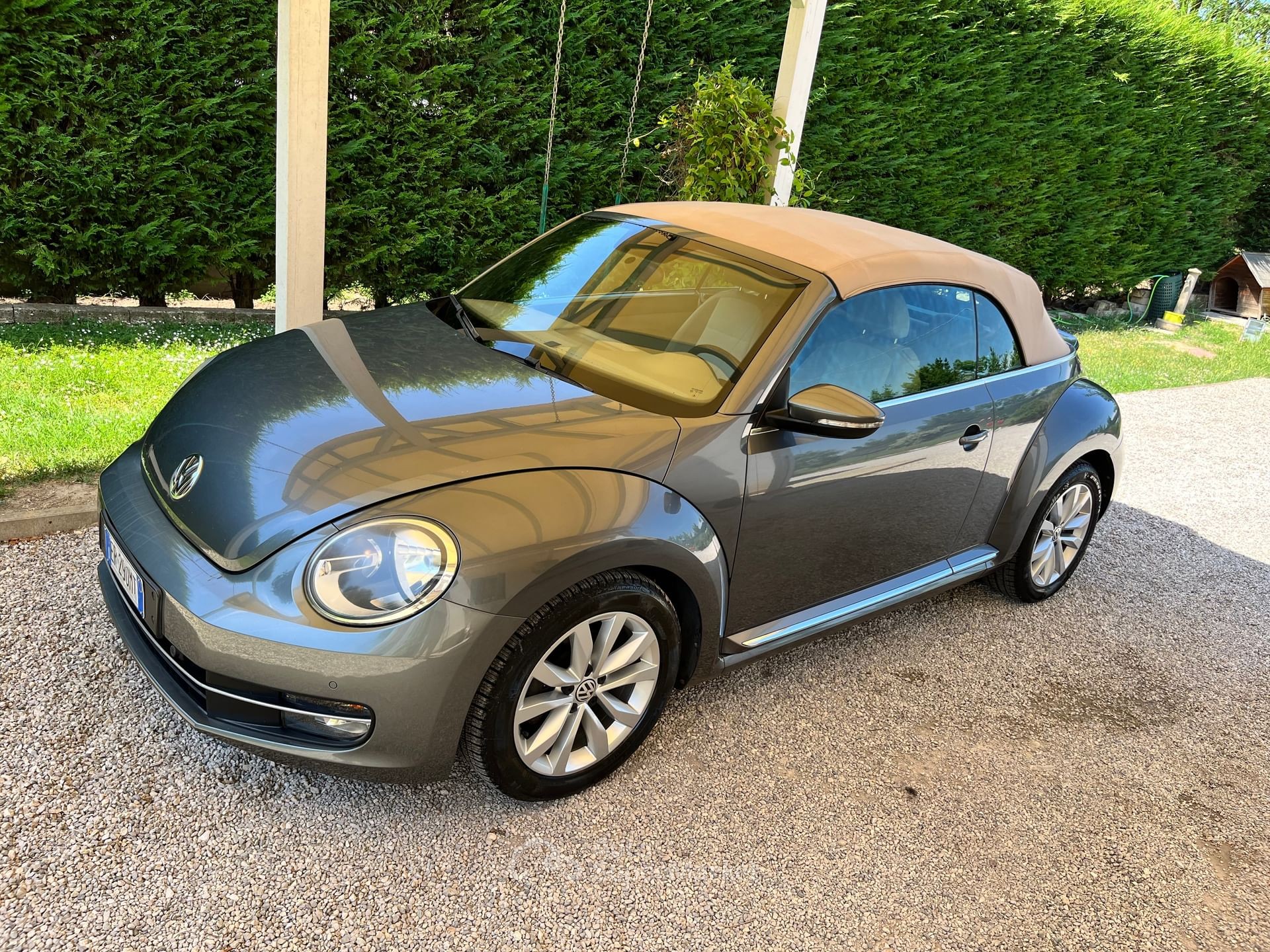 Volkswagen Maggiolino