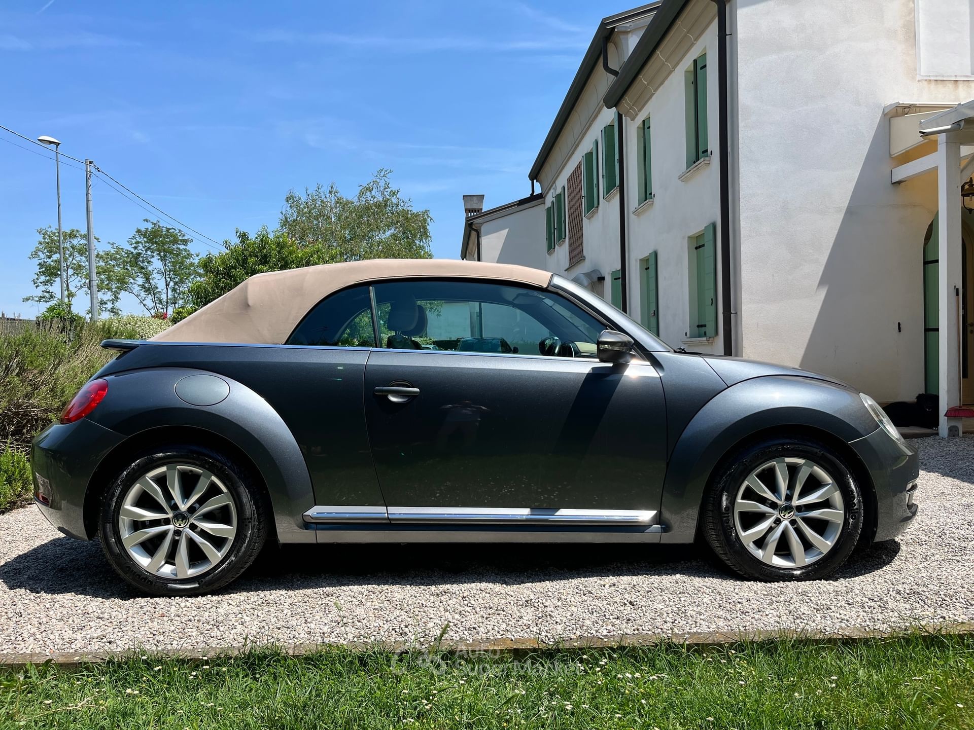 Volkswagen Maggiolino