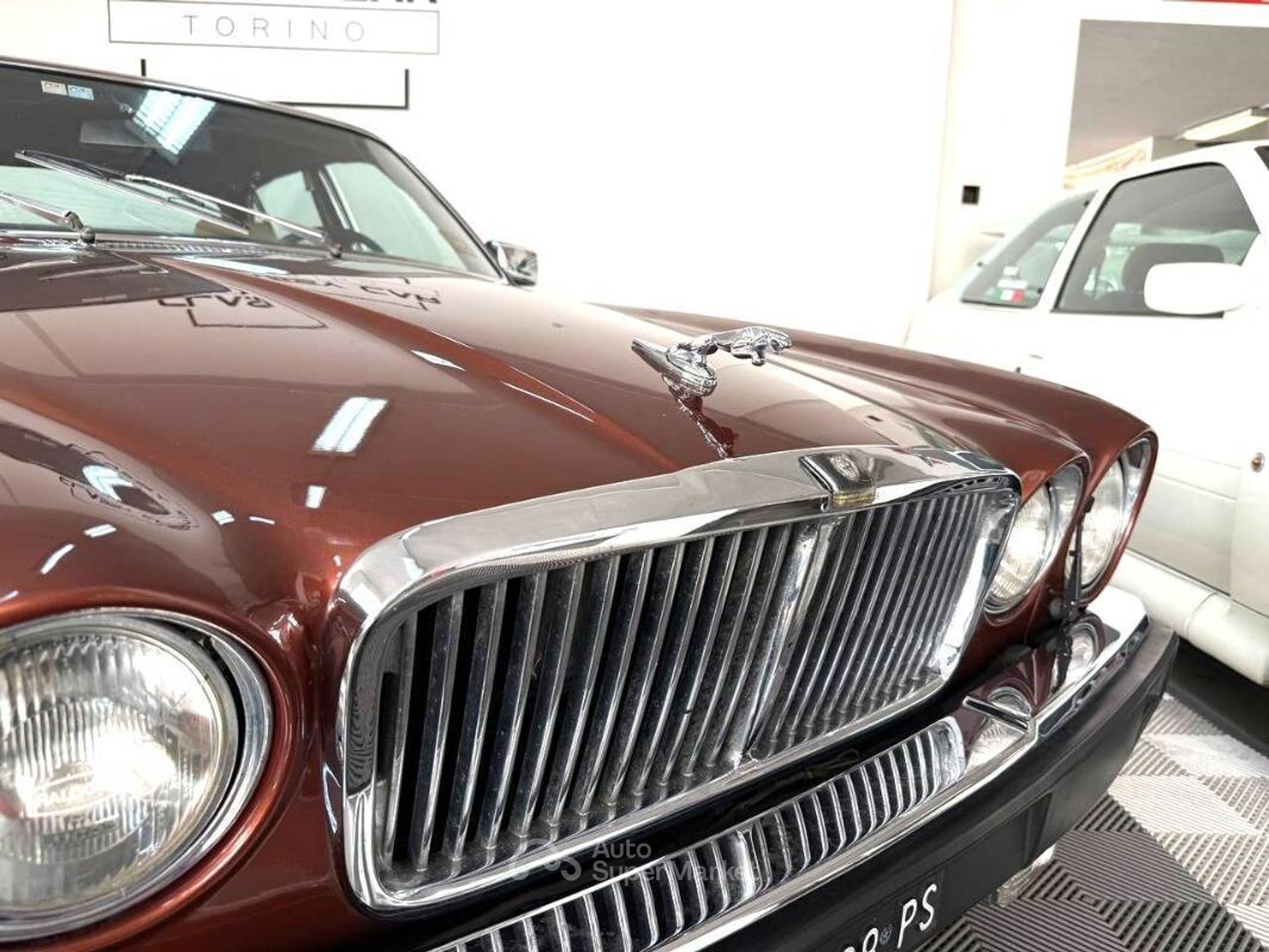 Jaguar XJ6