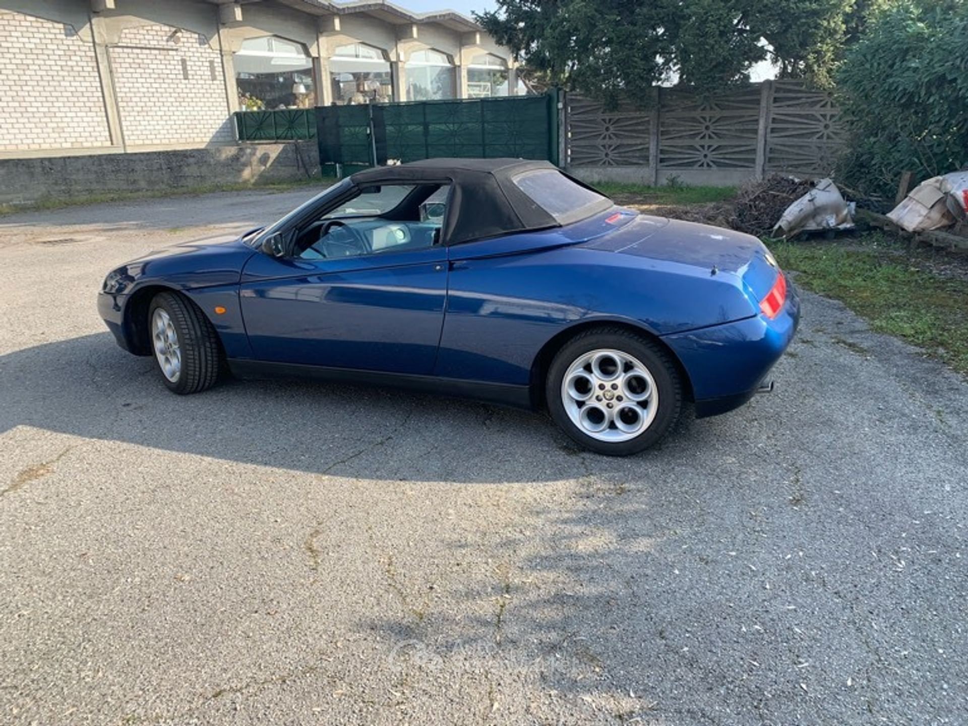Alfa Romeo Spider