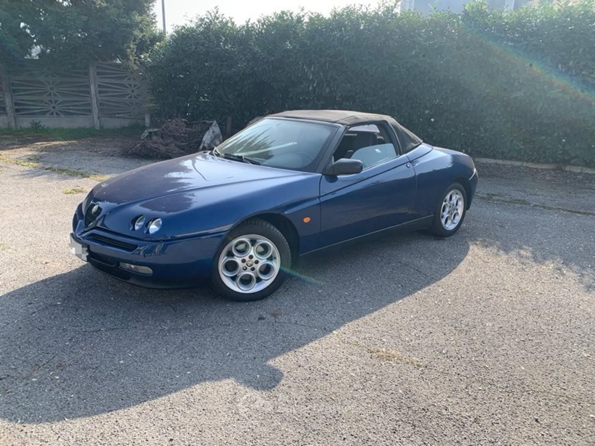 Alfa Romeo Spider
