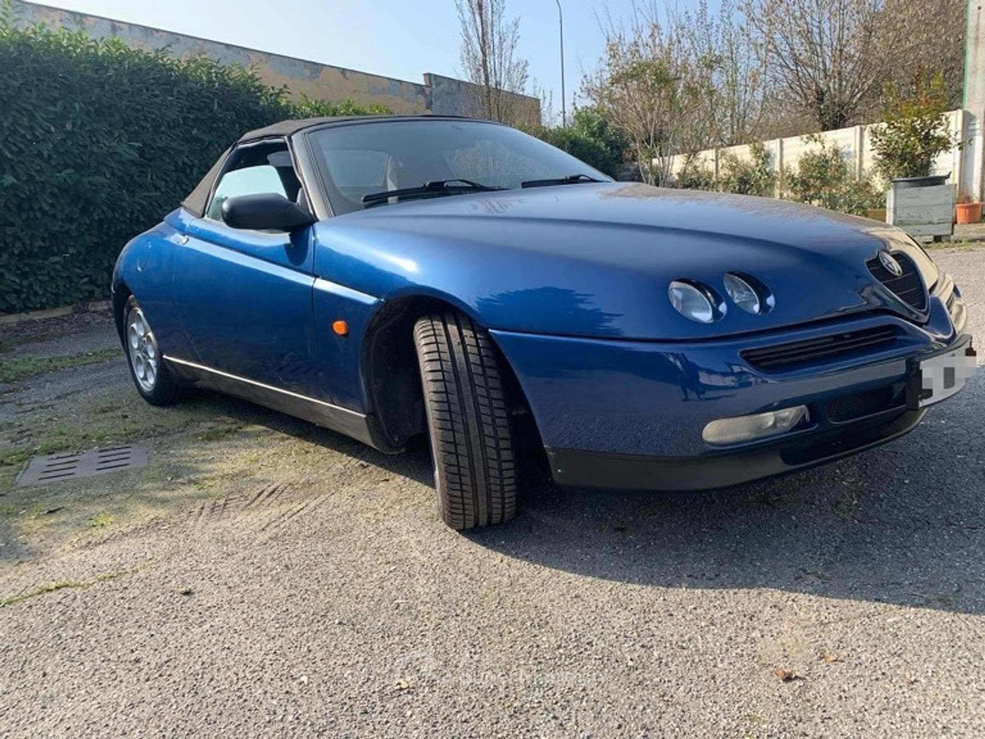 Alfa Romeo Spider