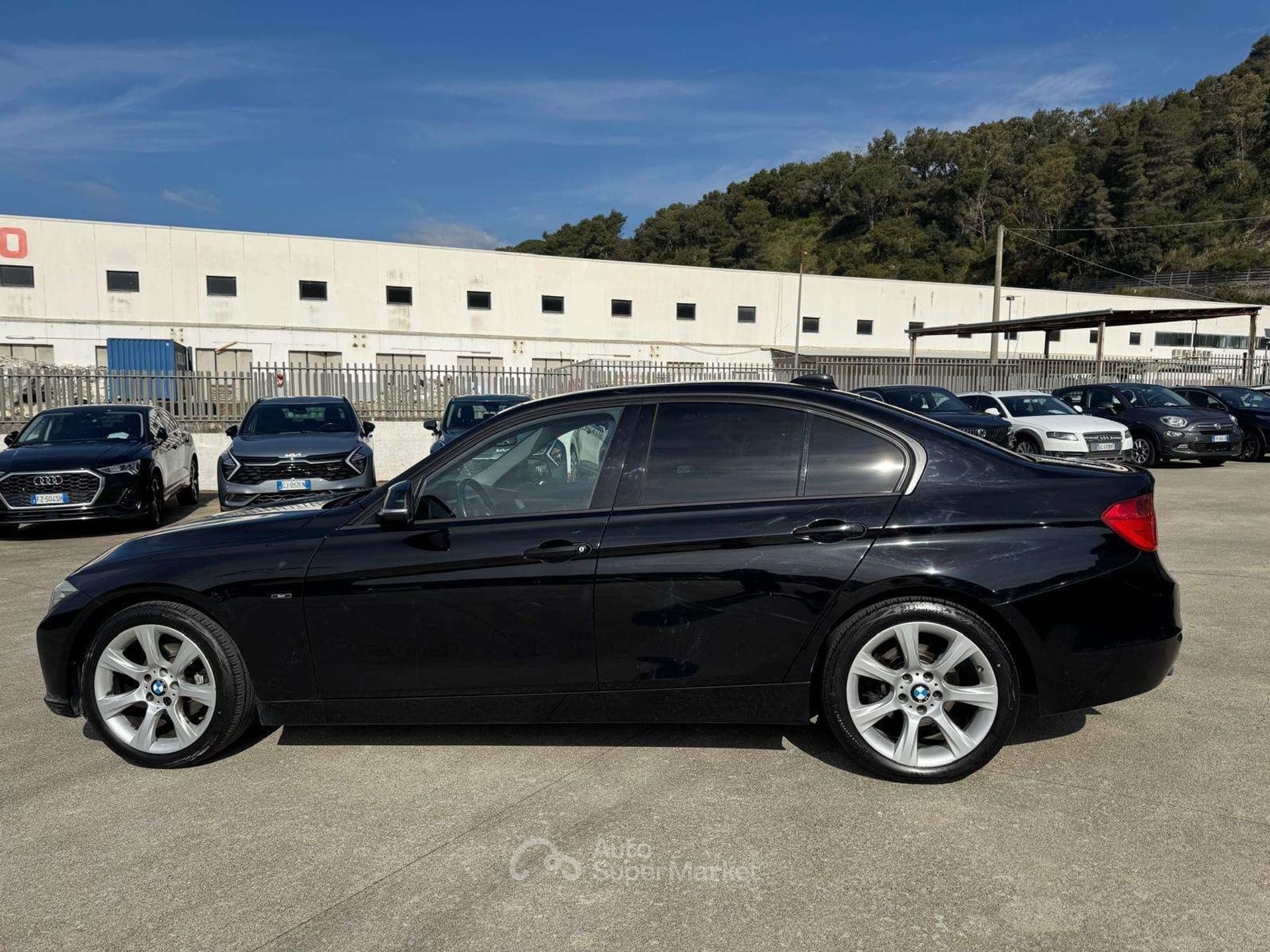 BMW Serie 3 318d