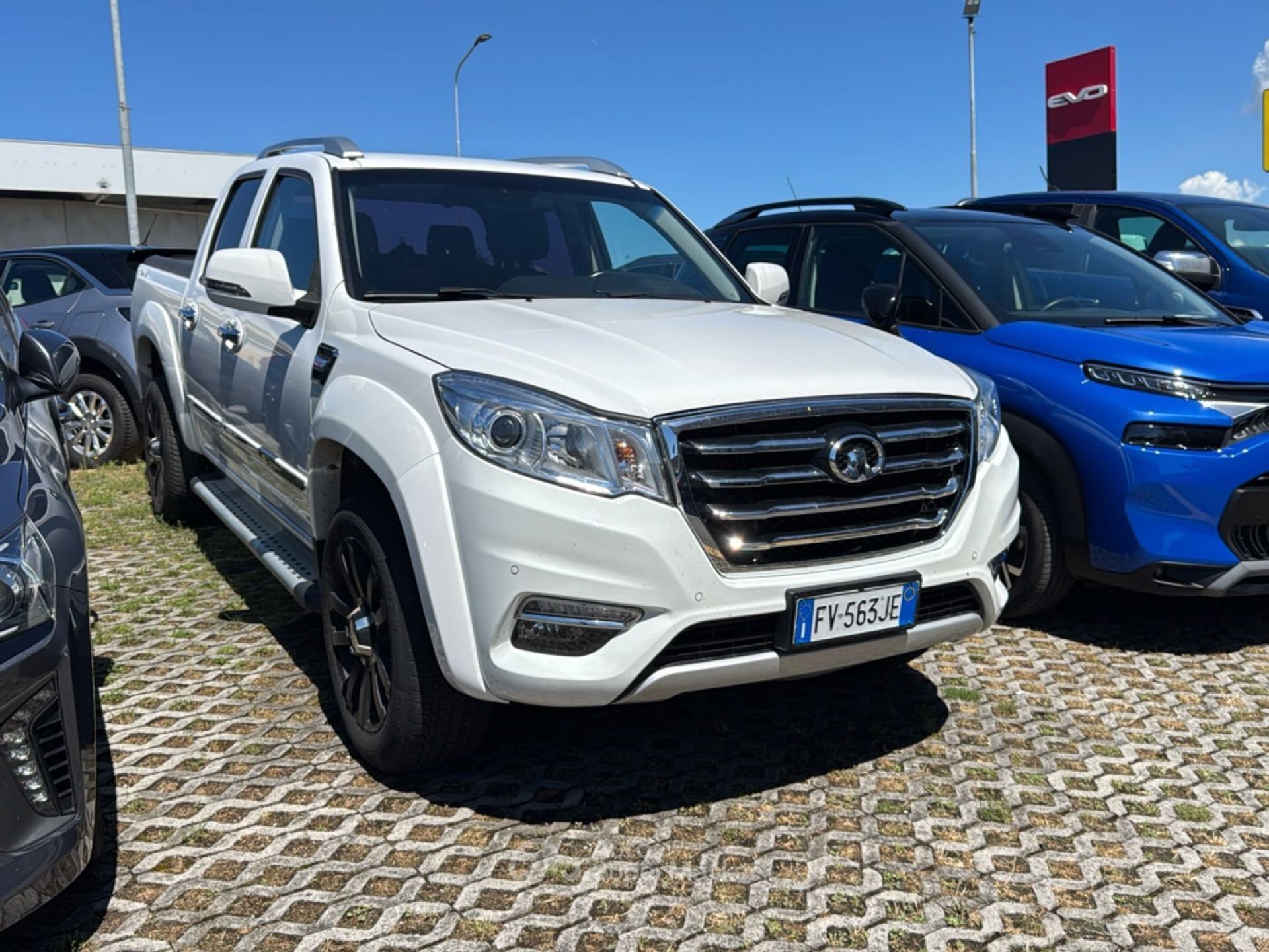 Great Wall Steed