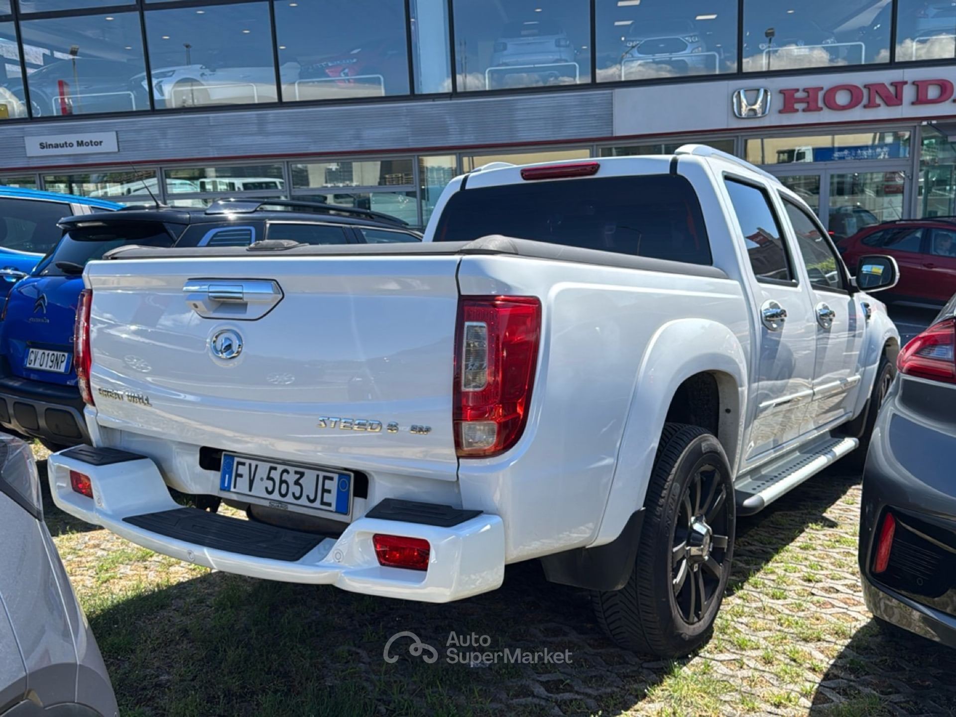Great Wall Steed
