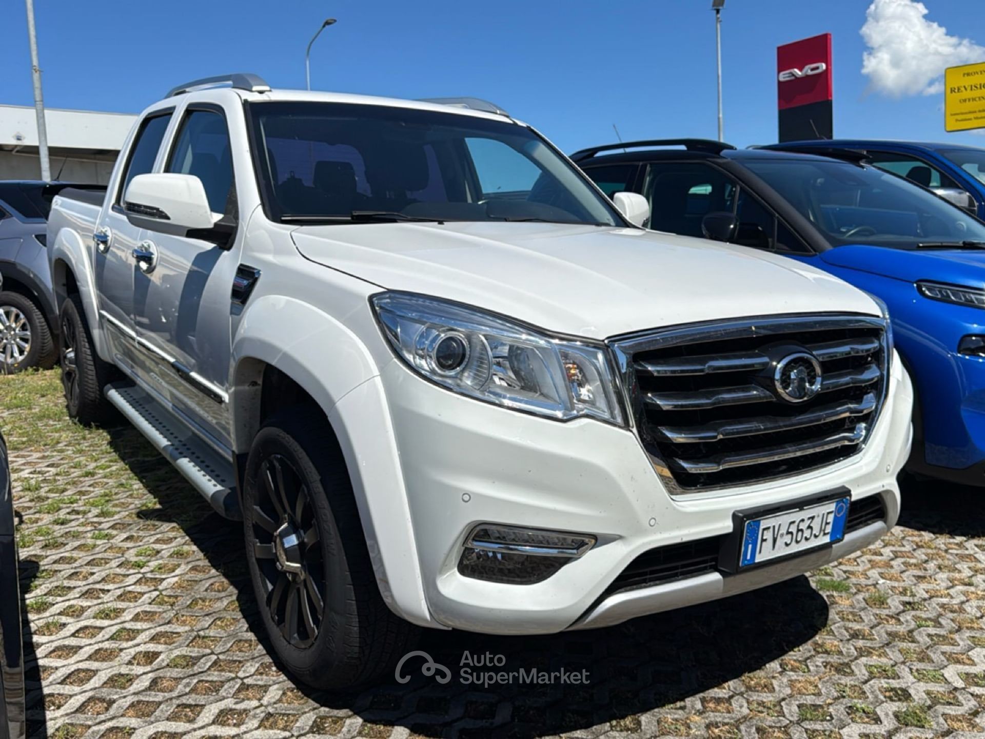 Great Wall Steed