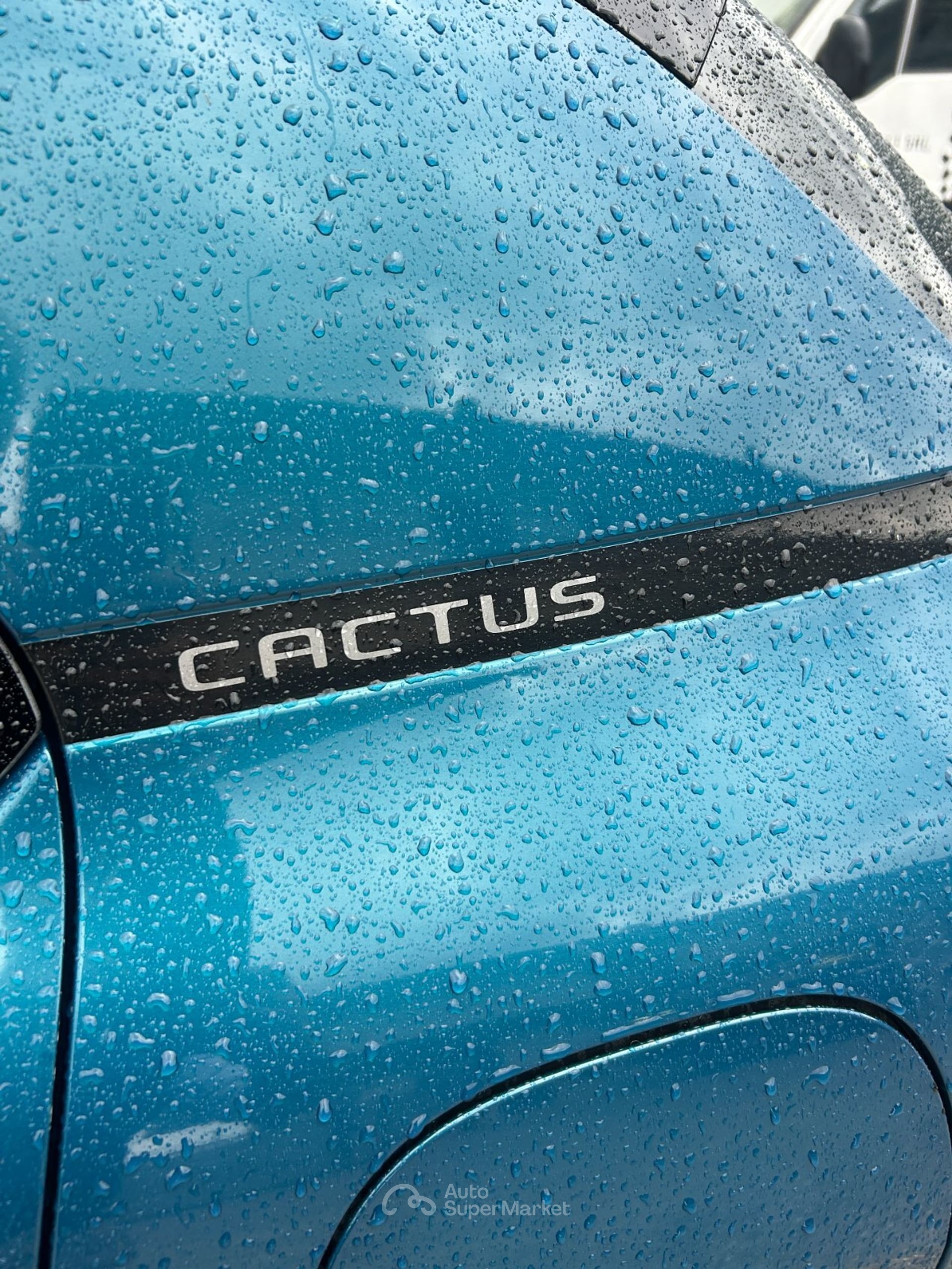 Citroen C4 Cactus