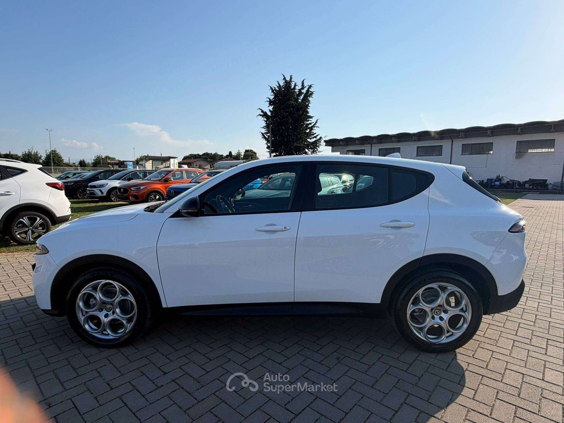 Alfa Romeo Tonale